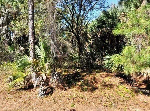 LOT 20 BLK 1749 34TH ADD TO PORT CHARLOTTE — photo 2