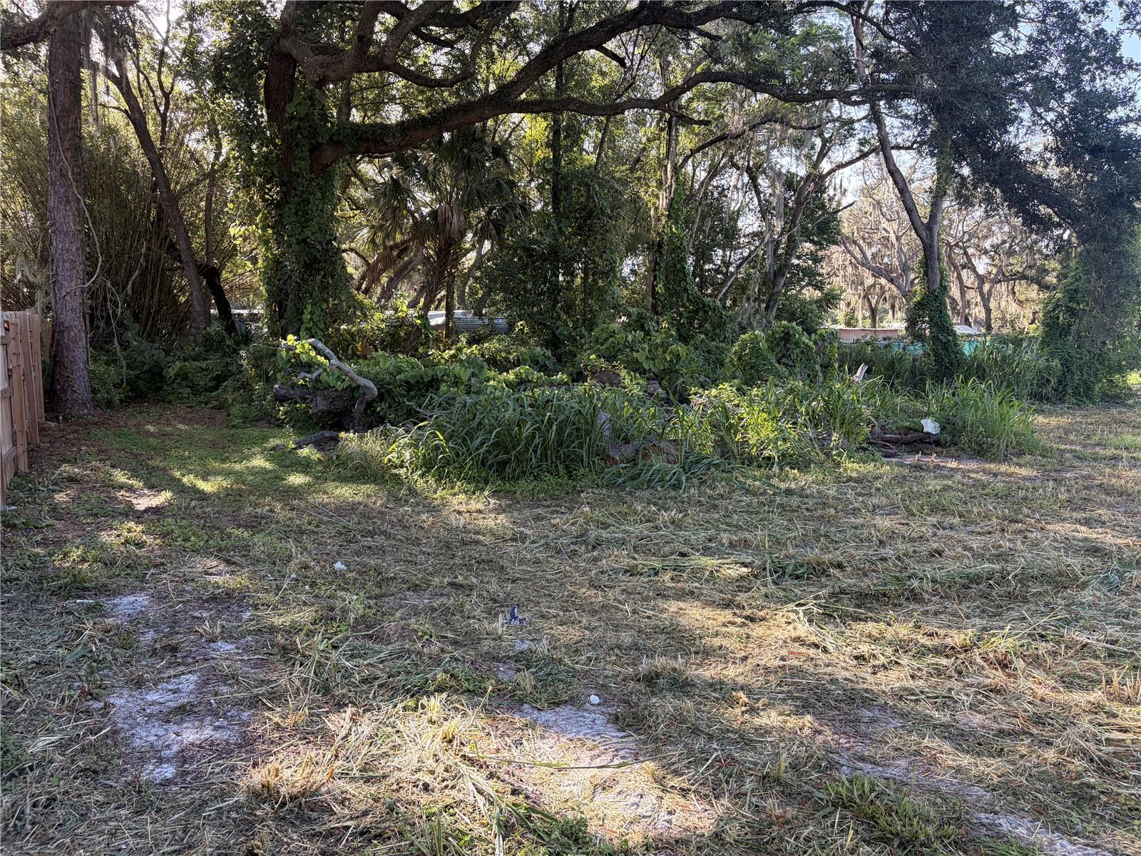 HICKS ROAD — photo 13