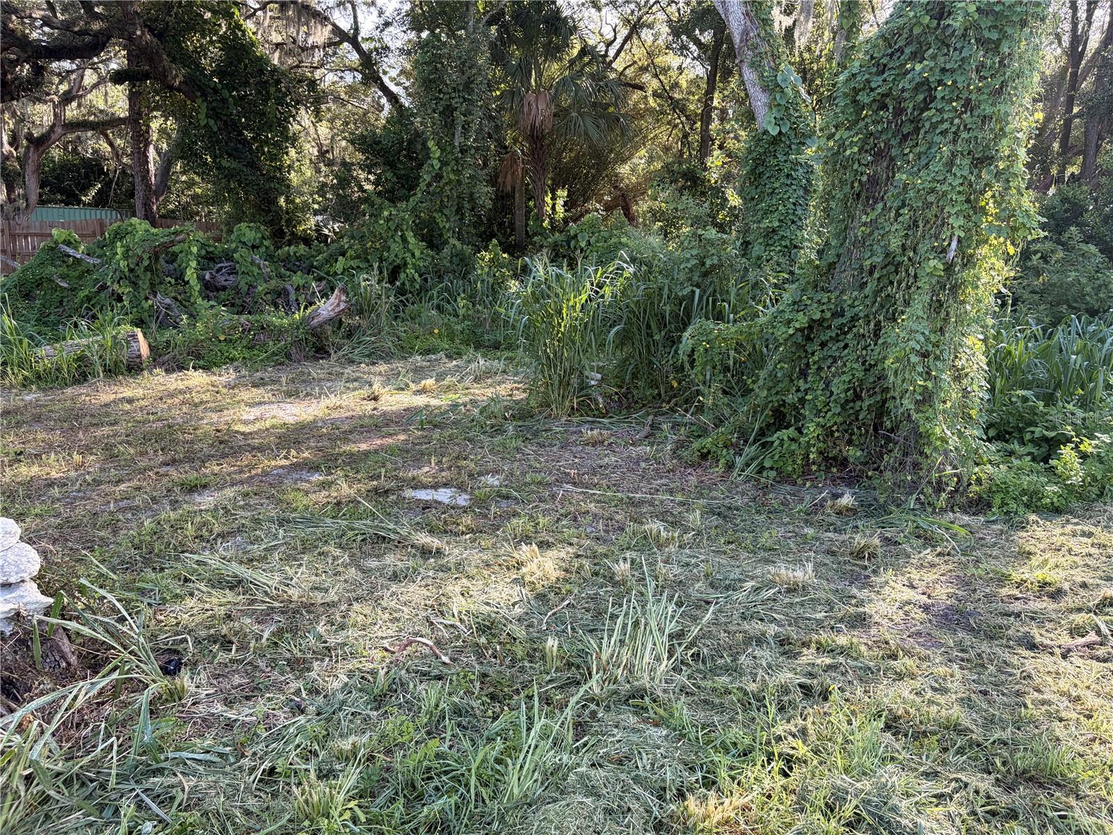 HICKS ROAD — photo 11