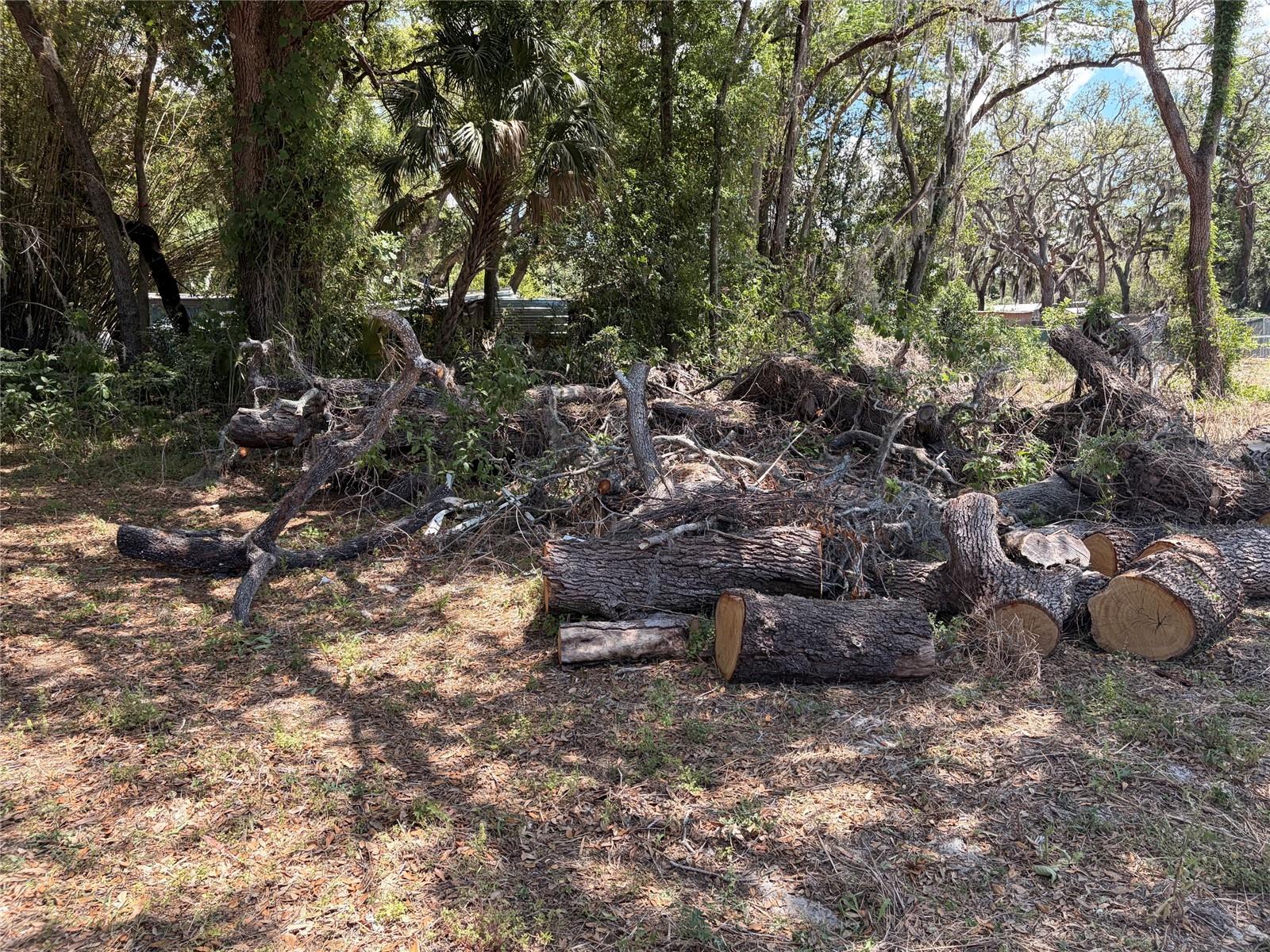 HICKS ROAD — photo 14
