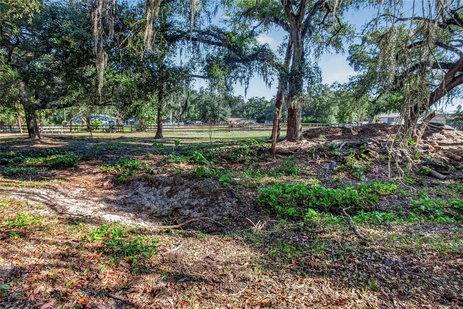 10627 MCINTOSH RD — photo 20