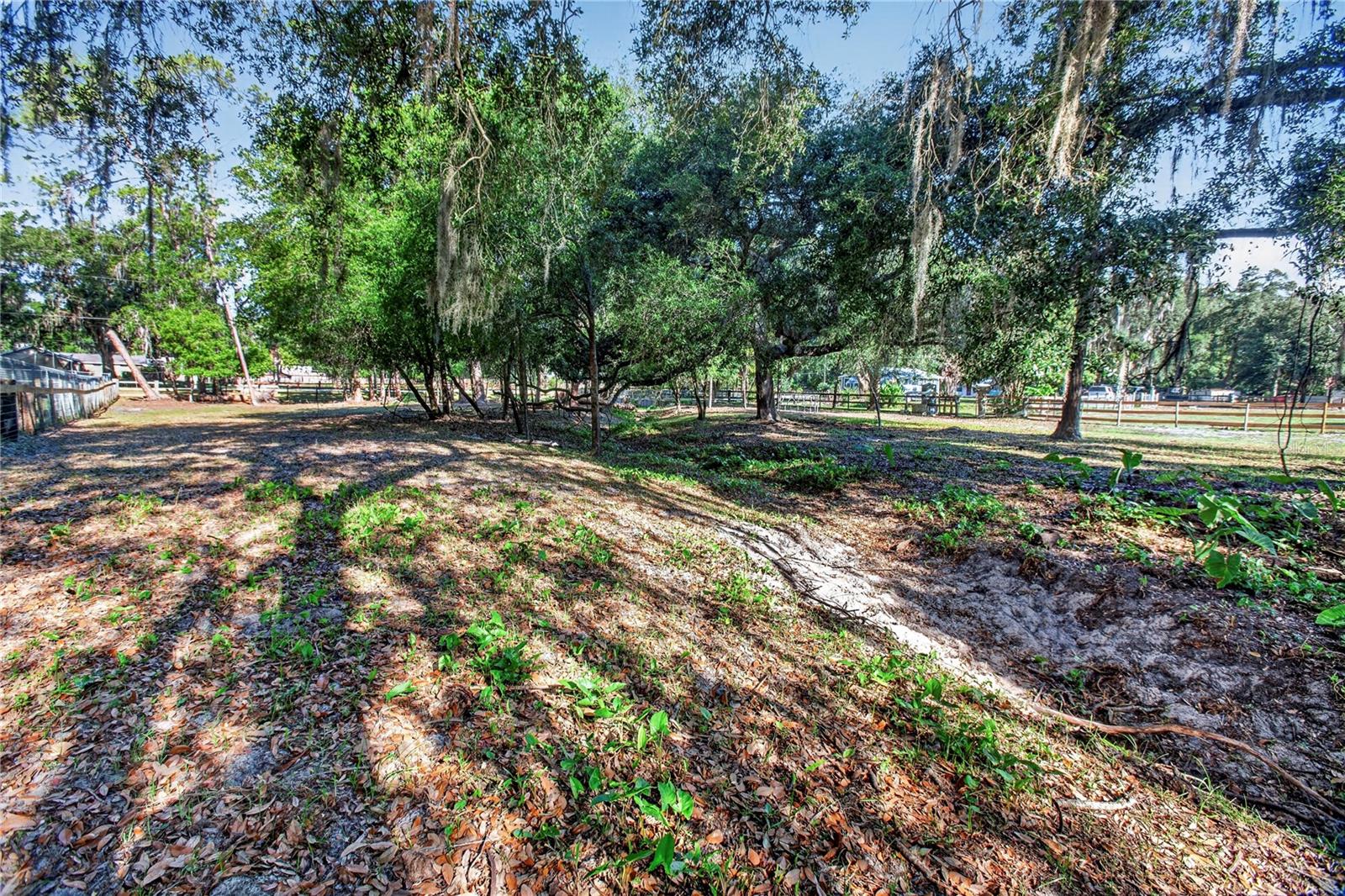 10627 MCINTOSH RD — photo 36