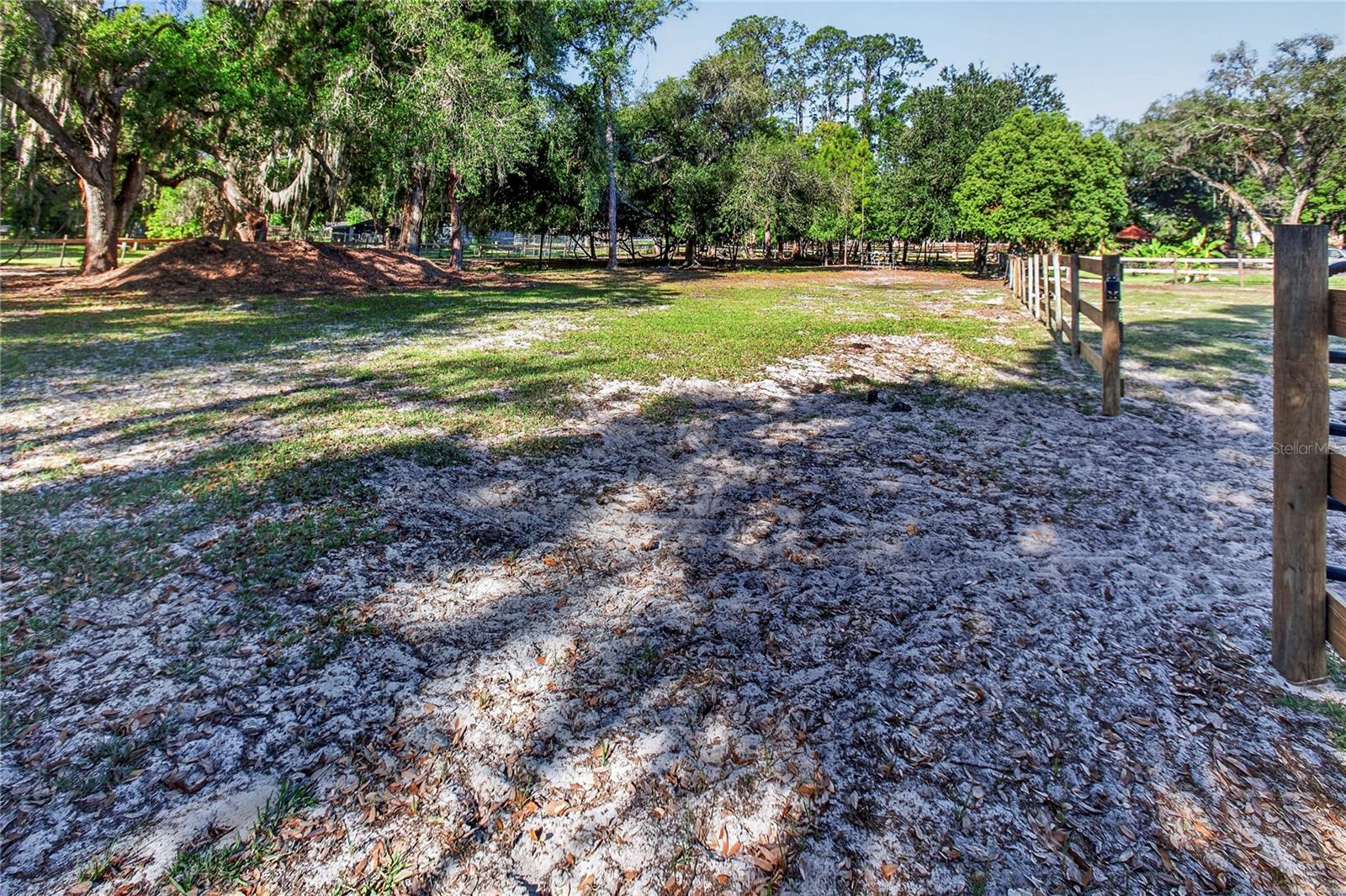 10627 MCINTOSH RD — photo 26