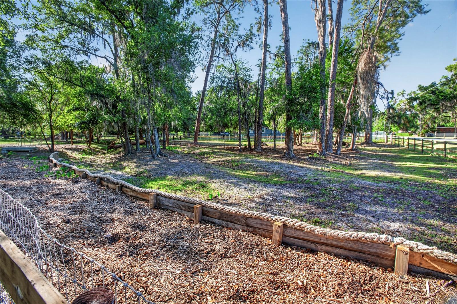 10627 MCINTOSH RD — photo 23