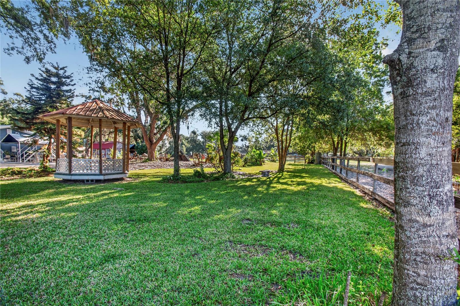 10627 MCINTOSH RD — photo 35