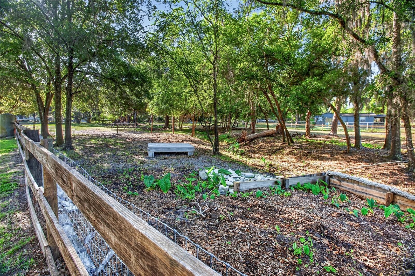 10627 MCINTOSH RD — photo 17