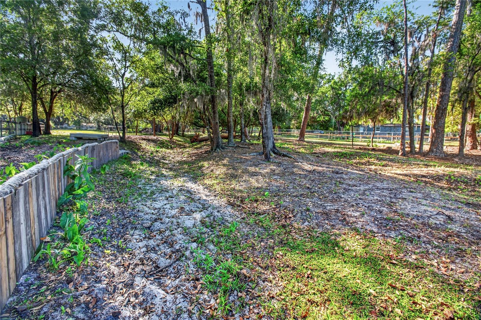 10627 MCINTOSH RD — photo 22