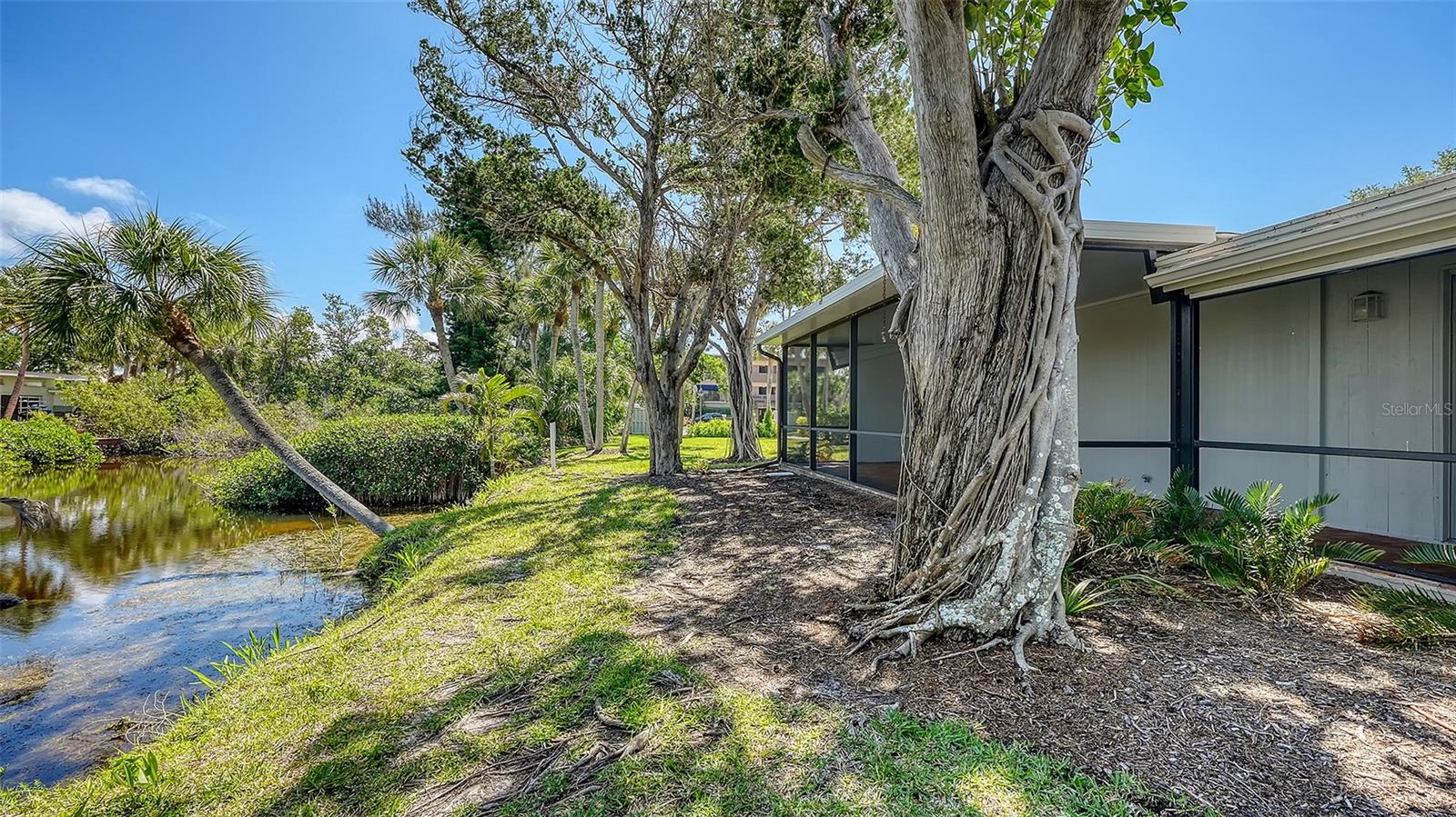 239 HOURGLASS WAY #V7 — photo 50