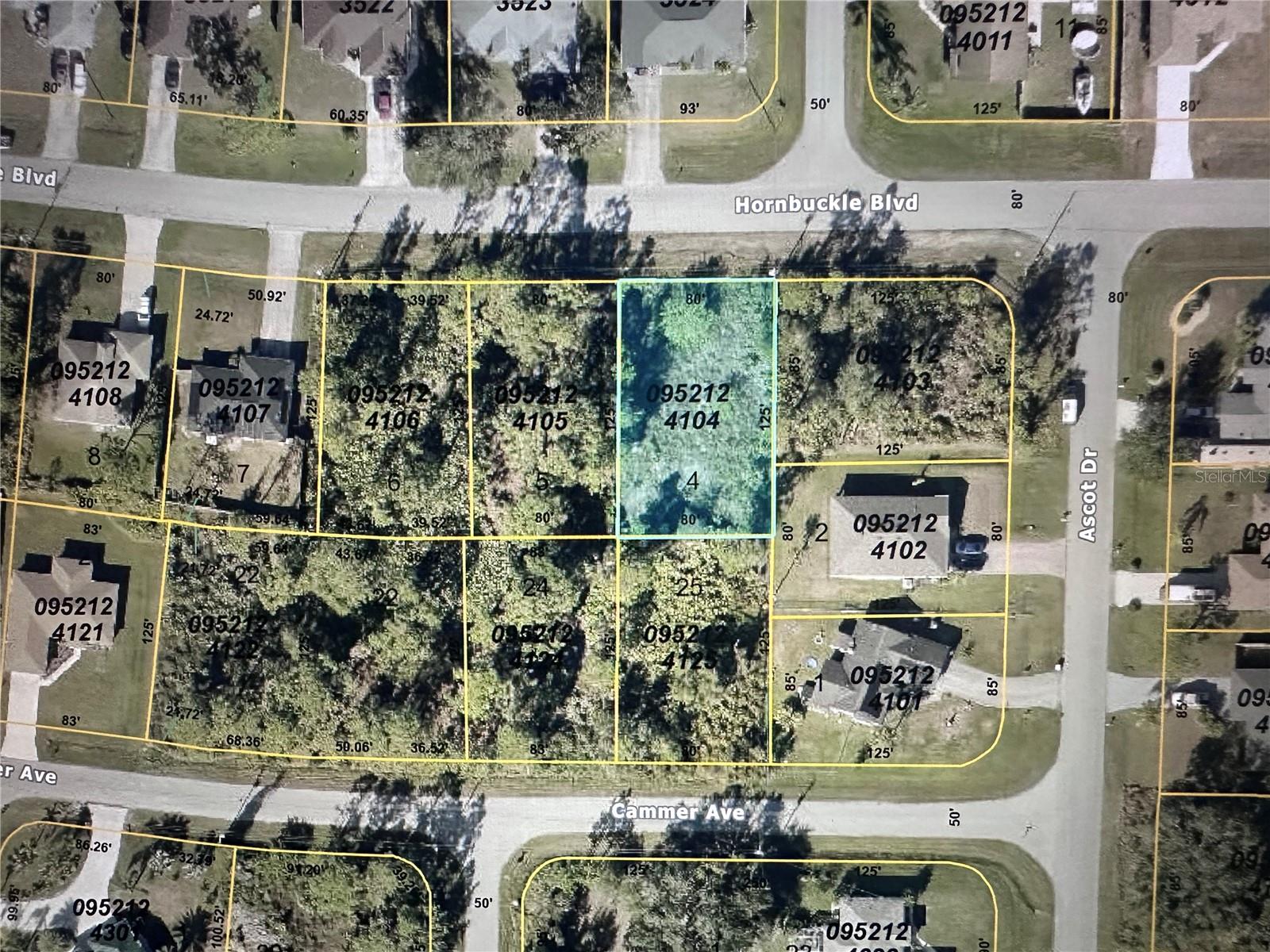 HORNBUCKLE BLVD — photo 2