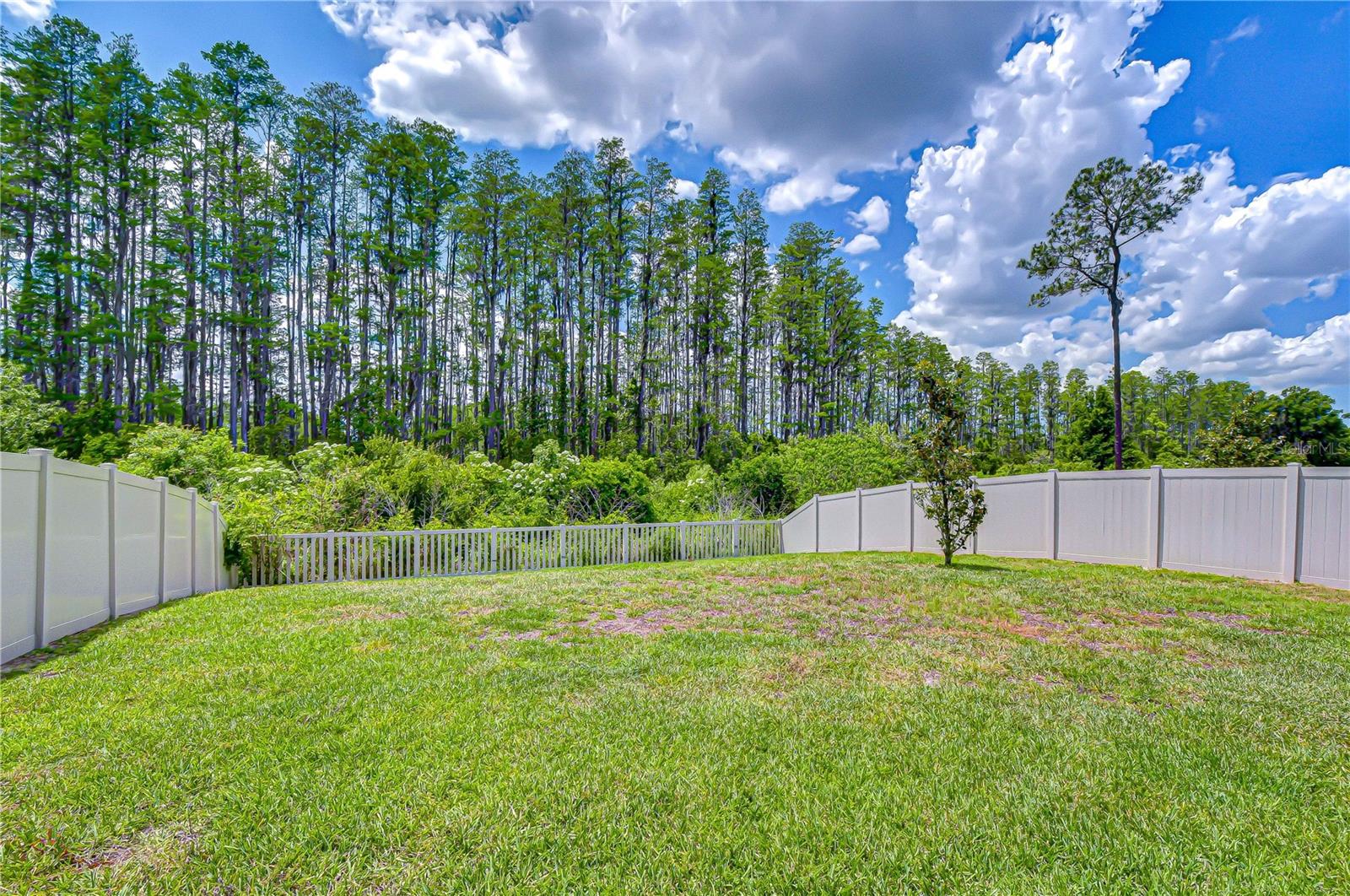 20978 MONZA LOOP — photo 44