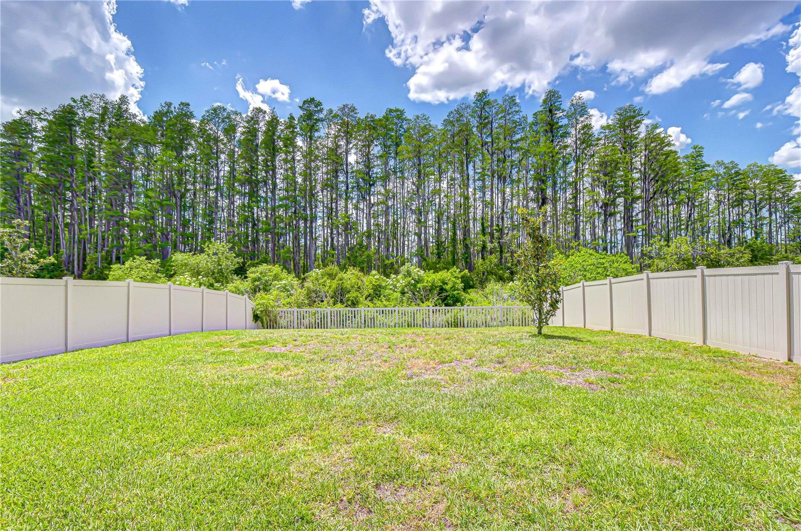 20978 MONZA LOOP — photo 43