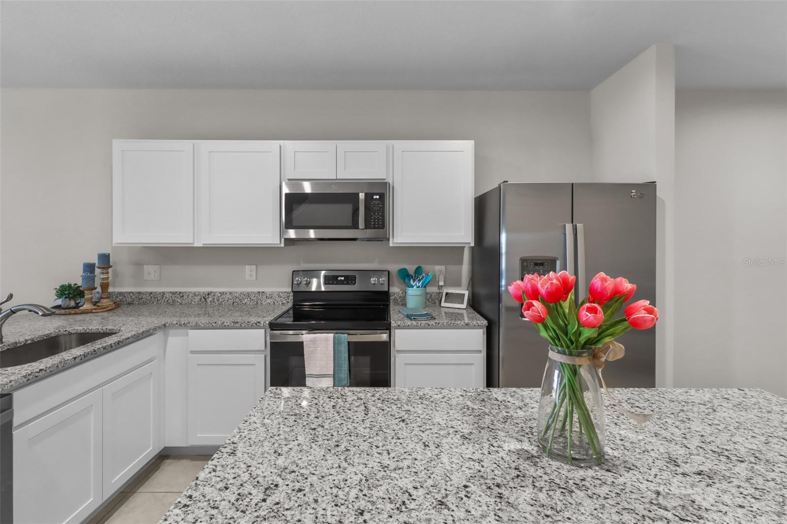 3138 VICTORIA INLET DR — photo 25
