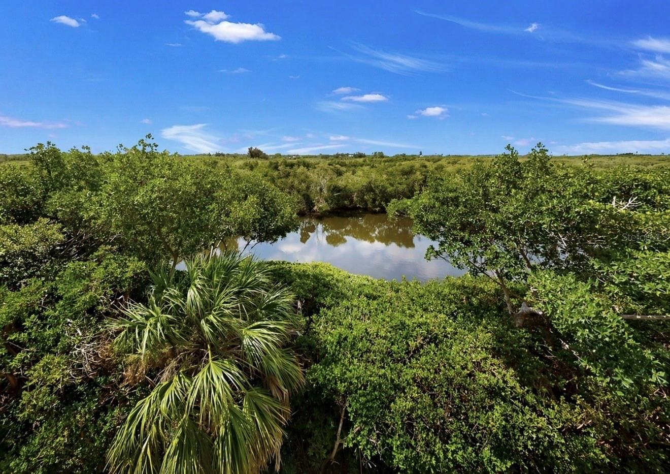 3202 MANGROVE POINT DR — photo 48