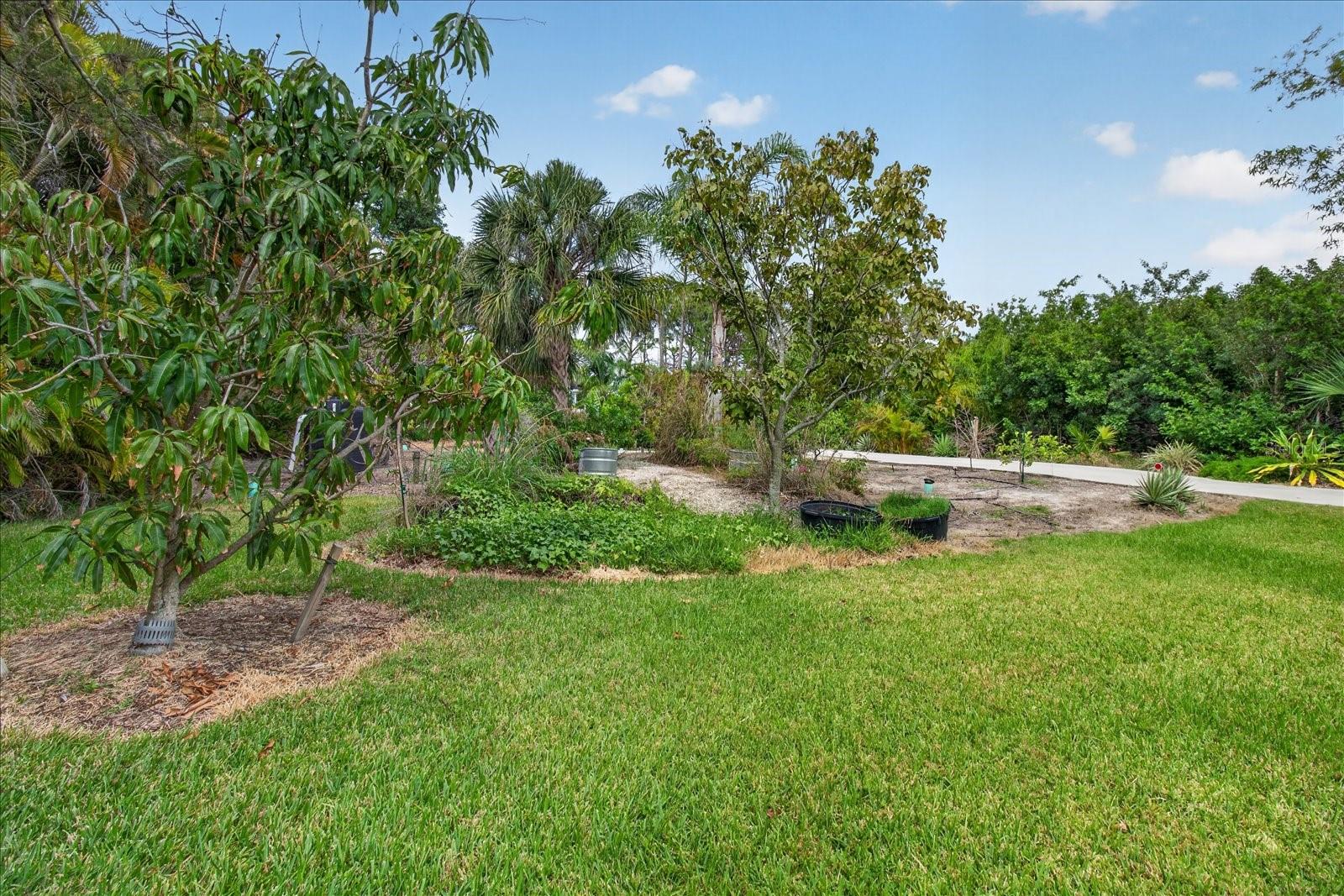 4190 STROMBUS RD — photo 47