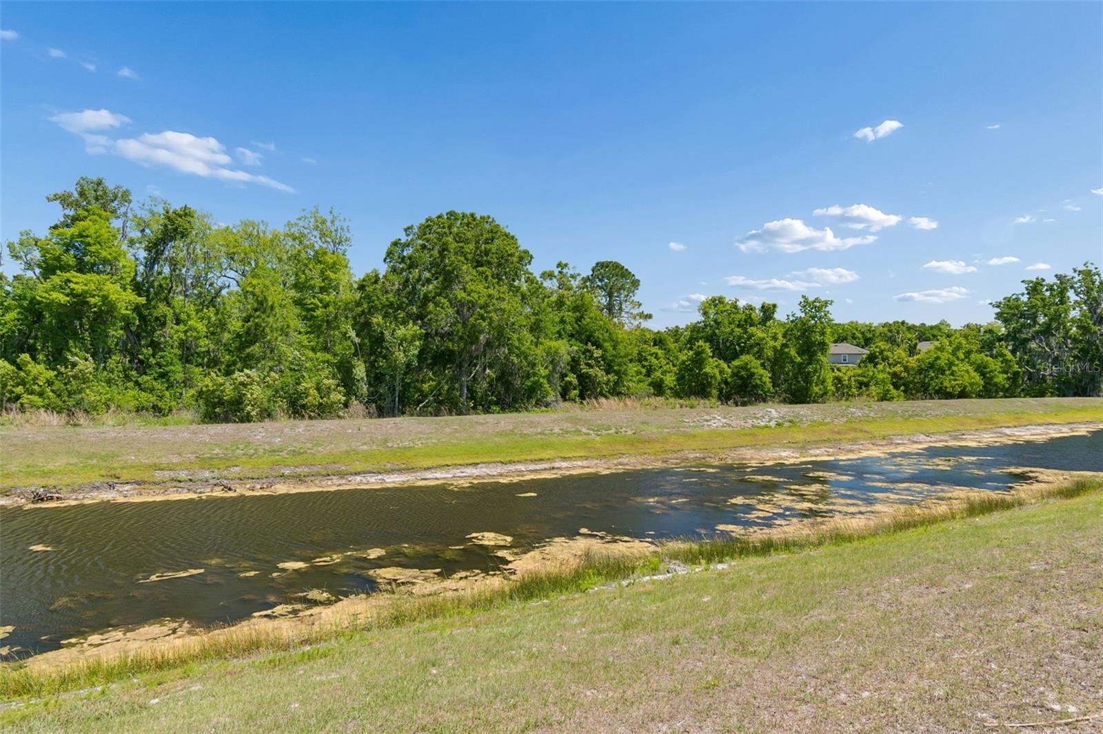 17647 CORTES CREEK BLVD — photo 77