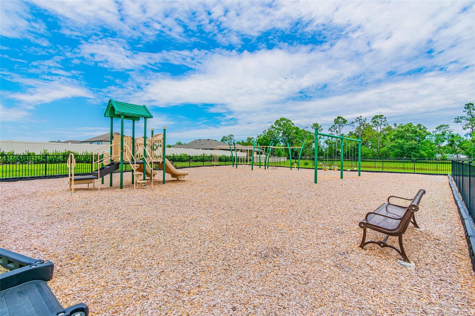 17647 CORTES CREEK BLVD — photo 99