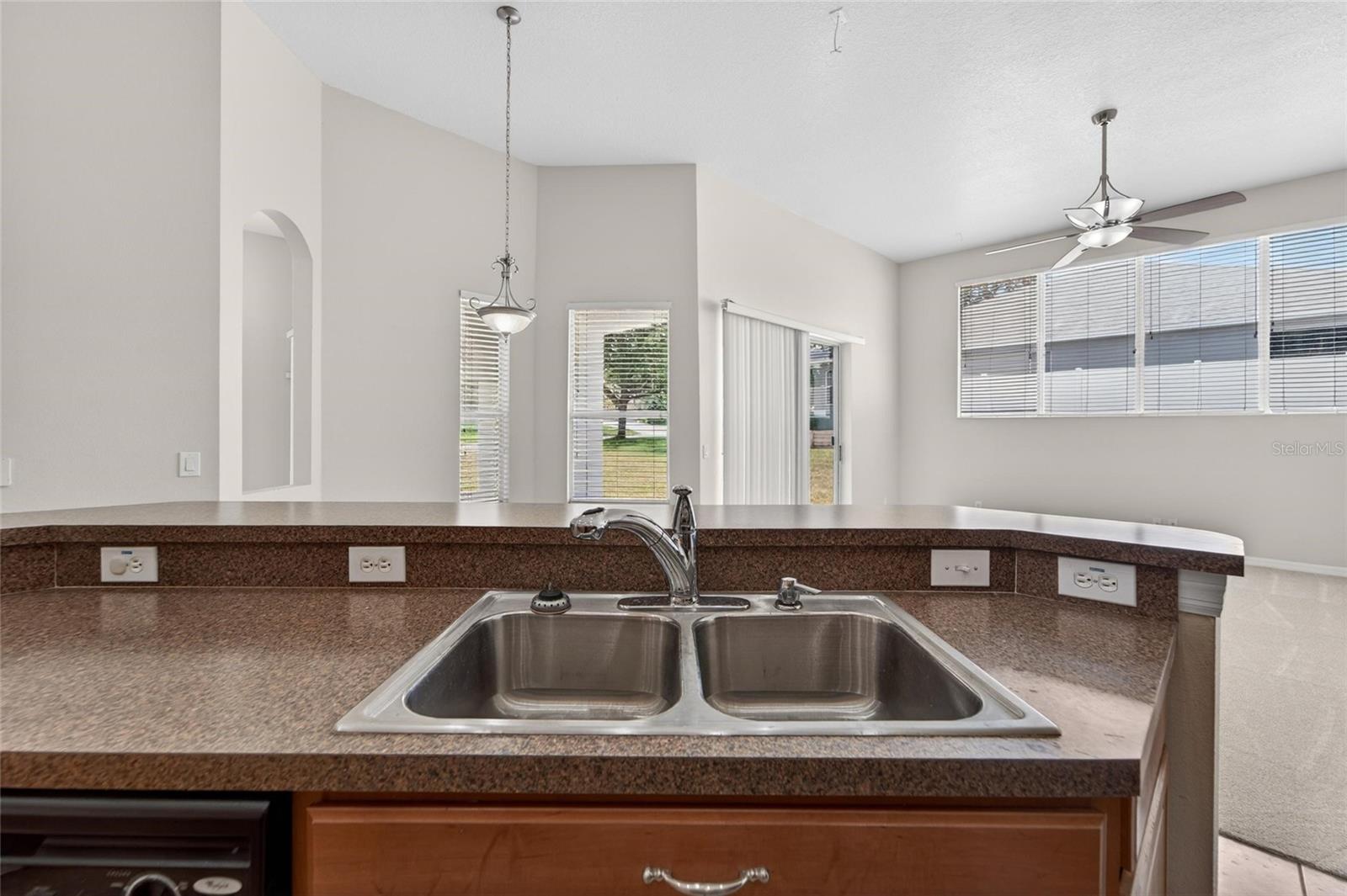 2309 SILVER TRUMPET CT — photo 40