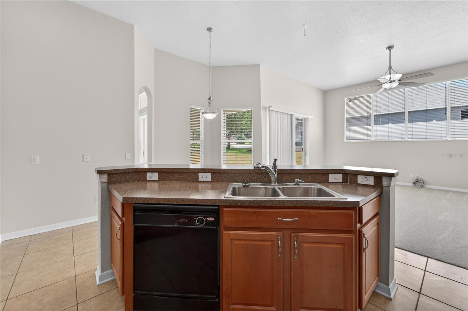2309 SILVER TRUMPET CT — photo 39