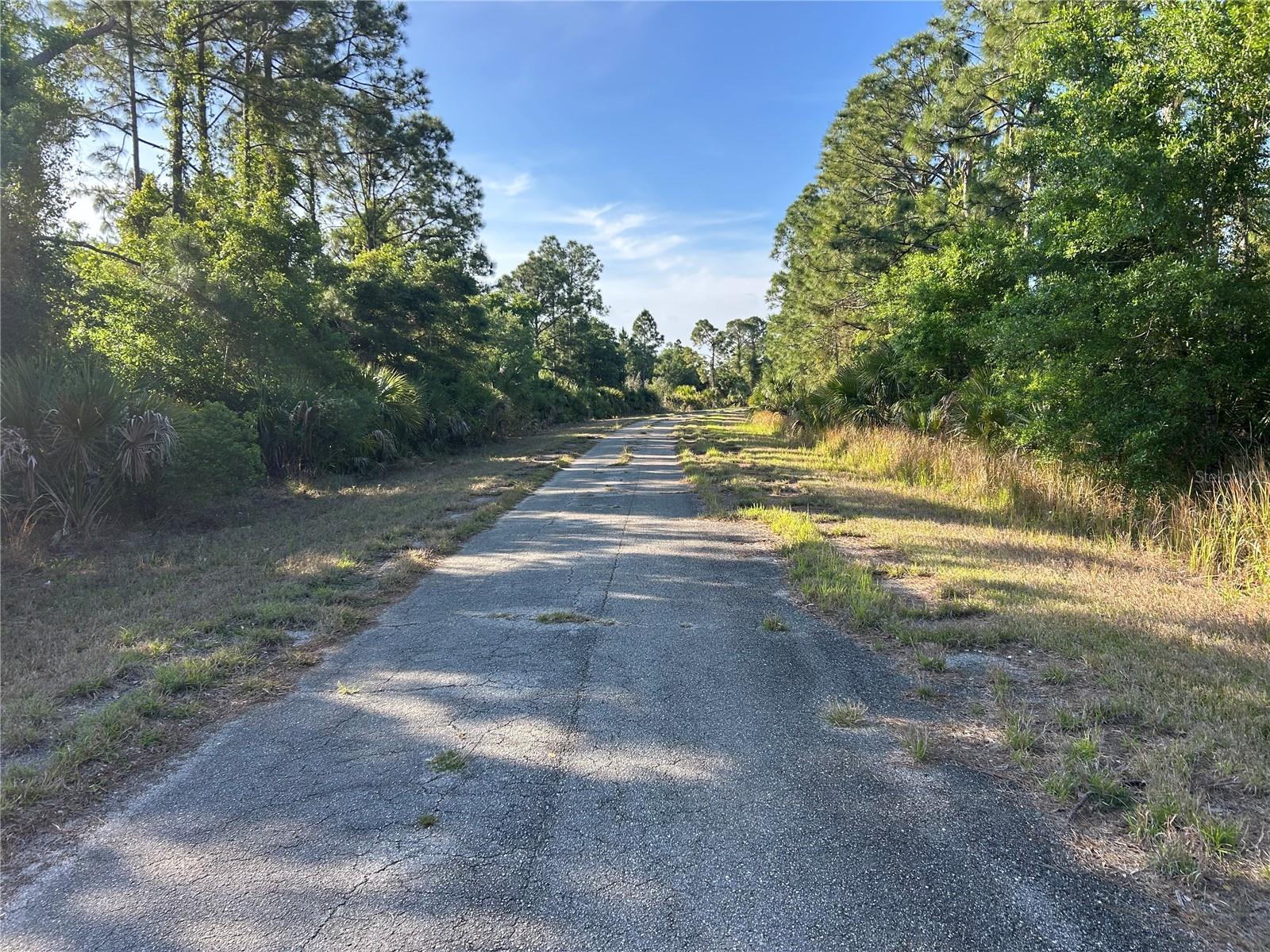 WINTERVILLE CIR — photo 4