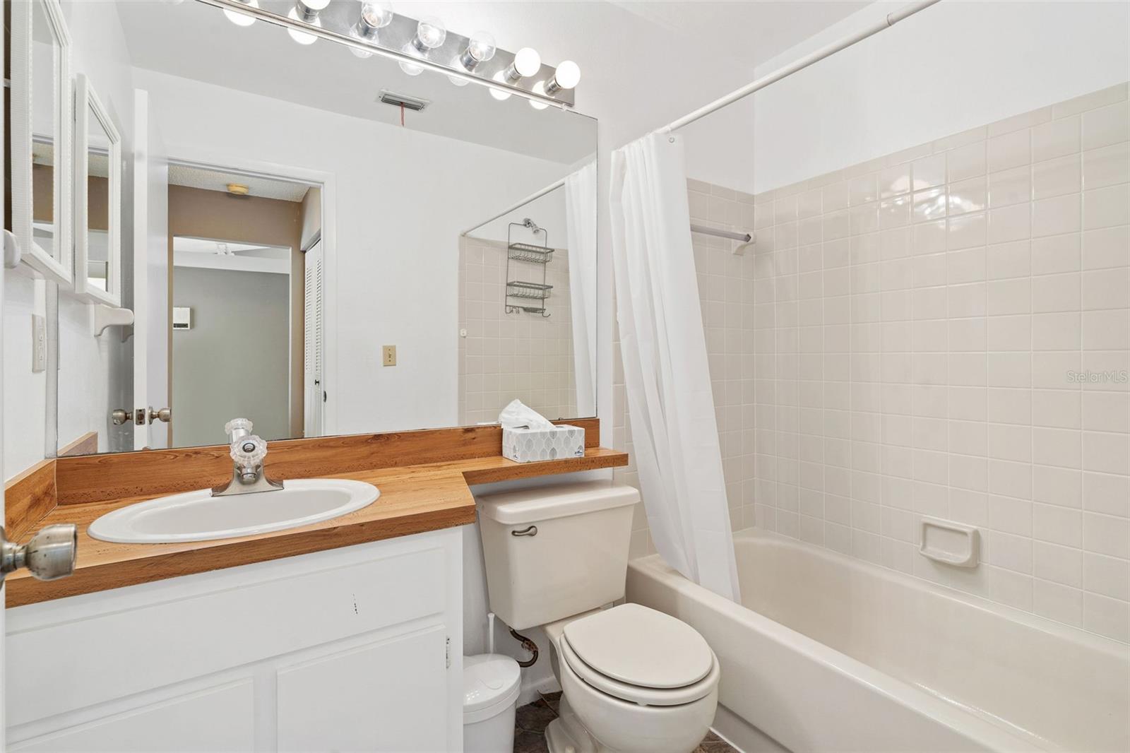 12239 SUN VISTA CT E — photo 18