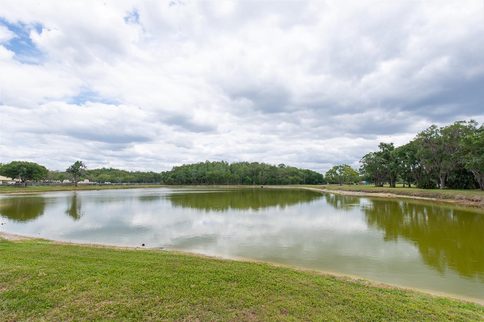 208 CUTLASS WAY — photo 32