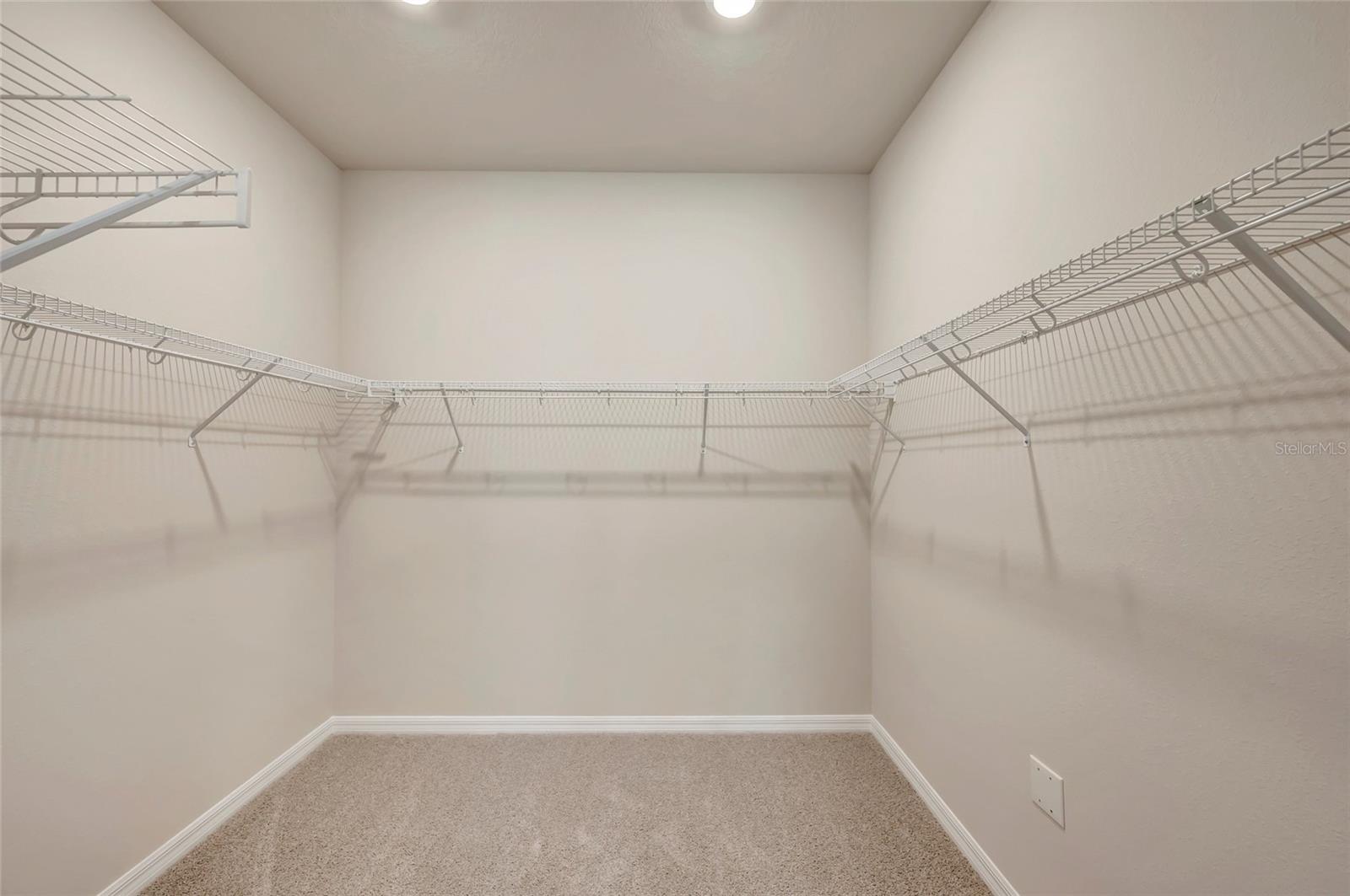 31232 PENDLETON LANDING CIR — photo 13