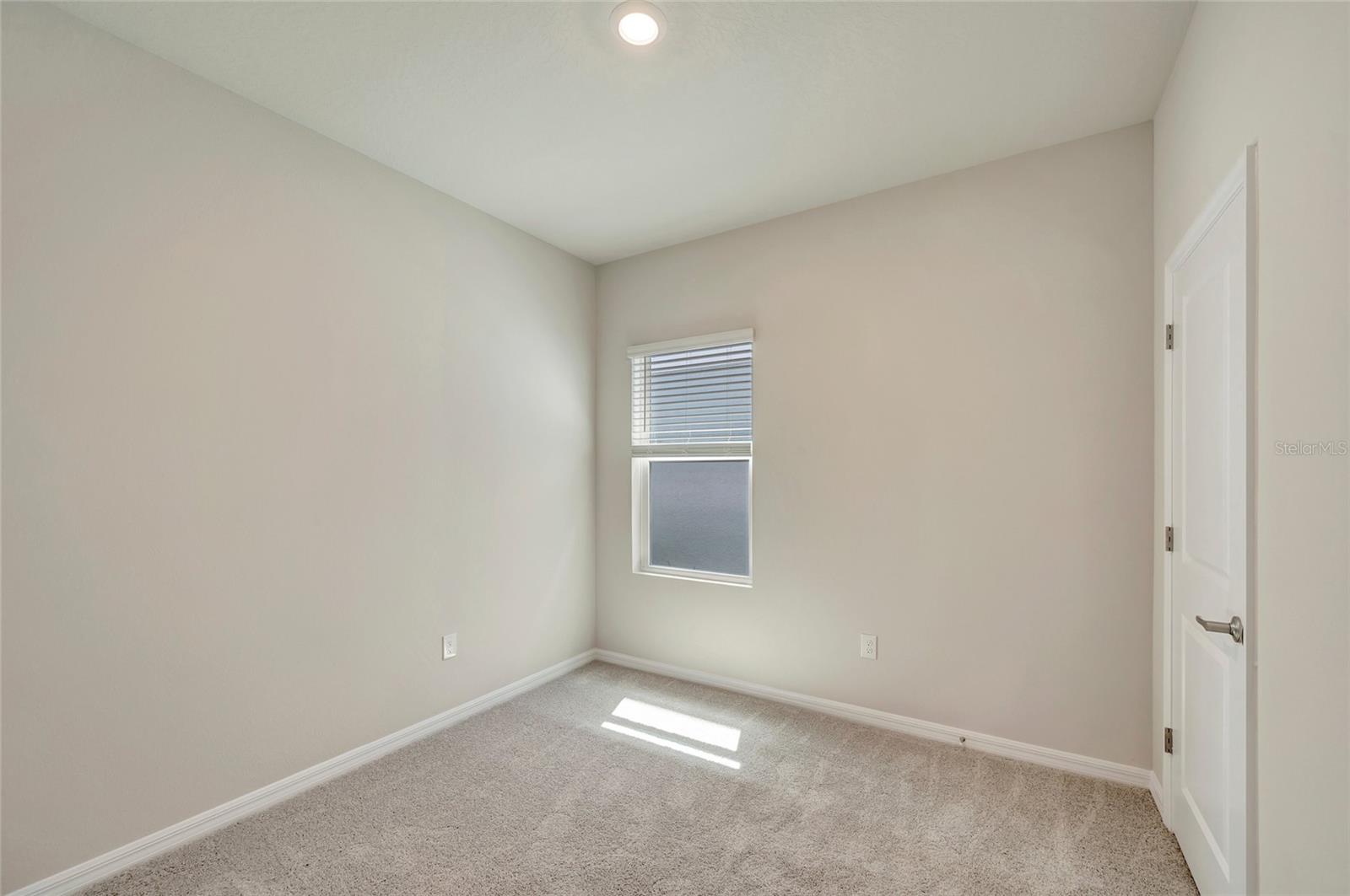 31232 PENDLETON LANDING CIR — photo 15
