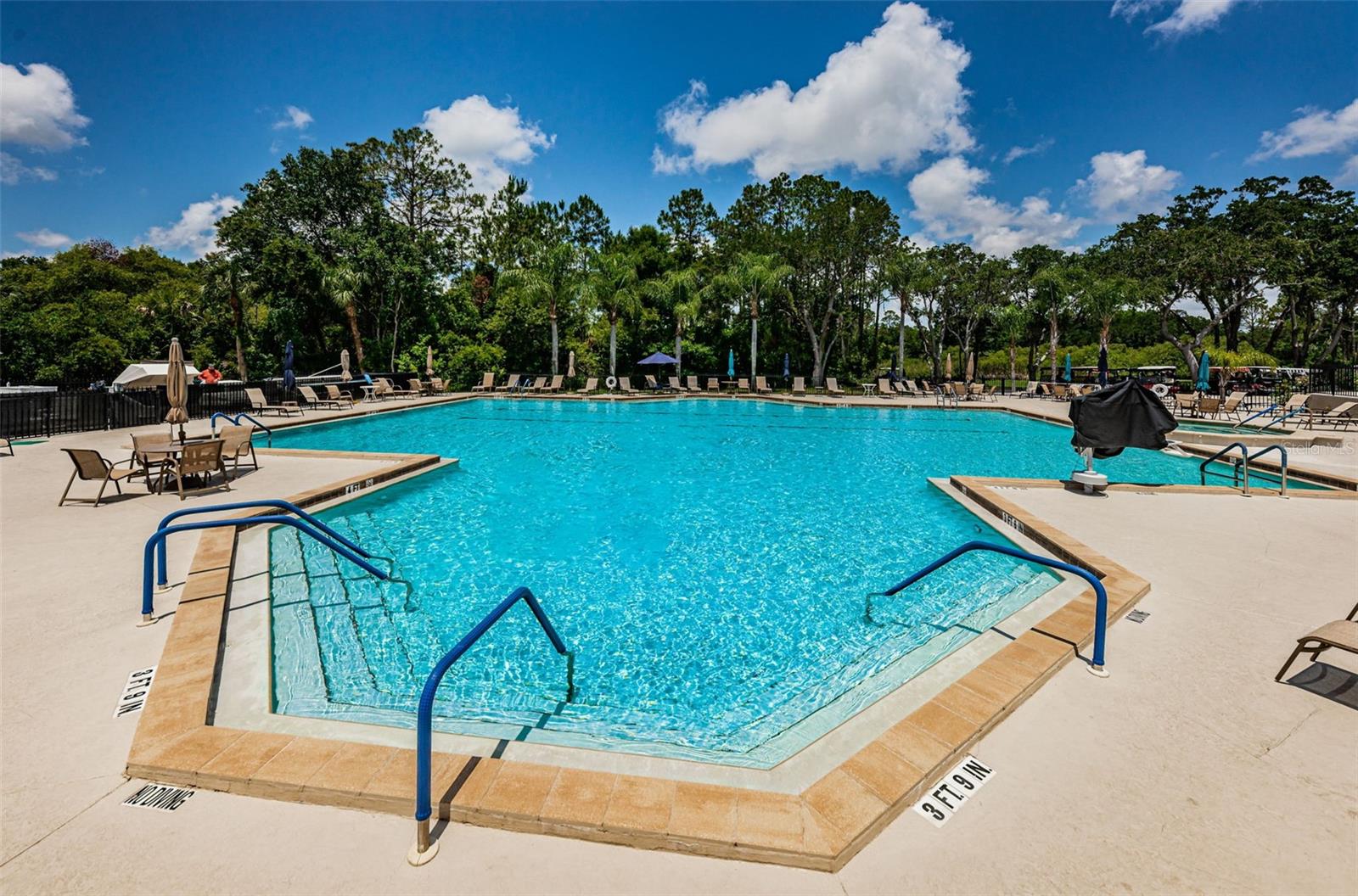 9307 PALM HAVEN CT — photo 40