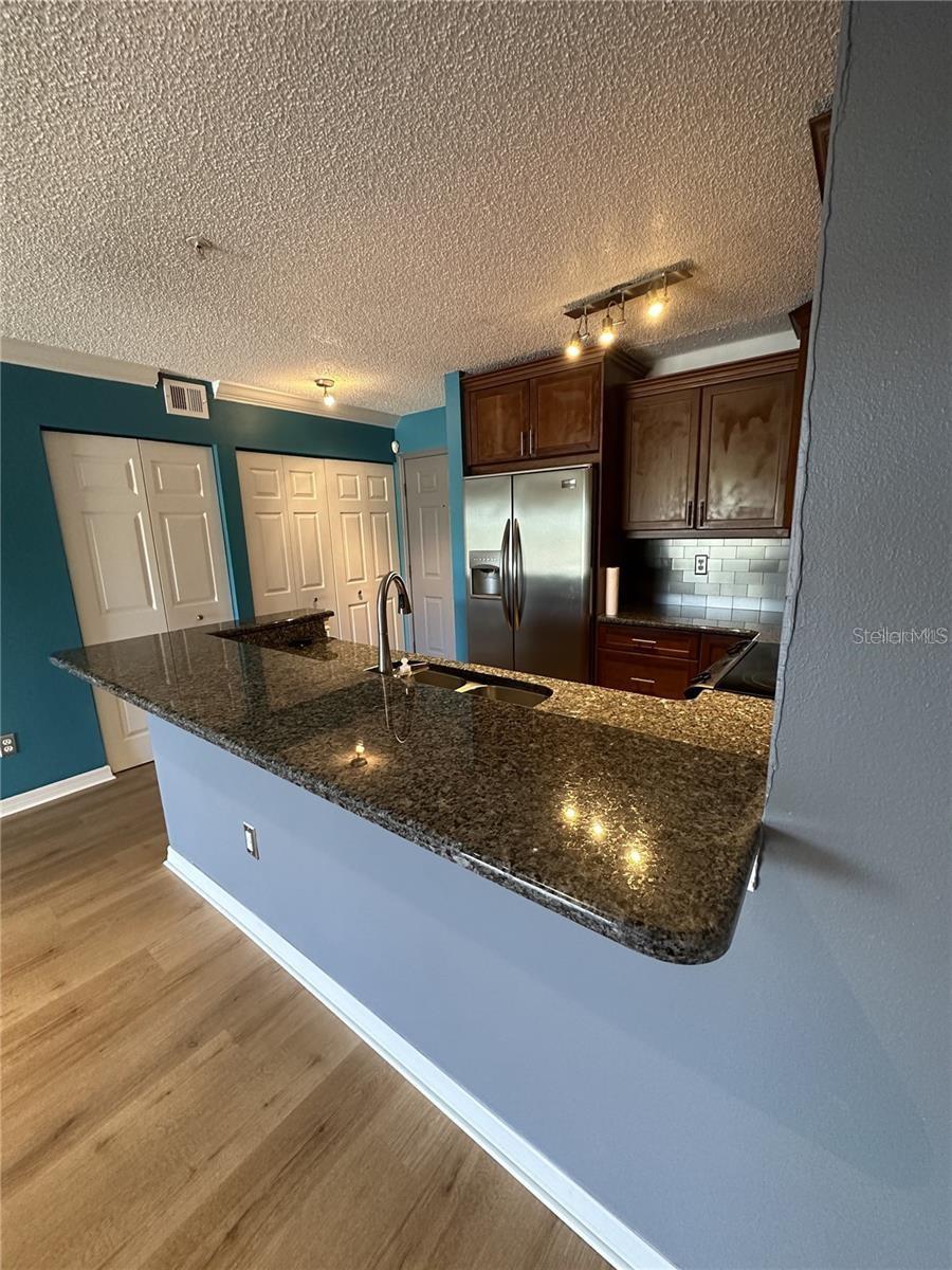 2400 FEATHER SOUND DR #1435 — photo 5