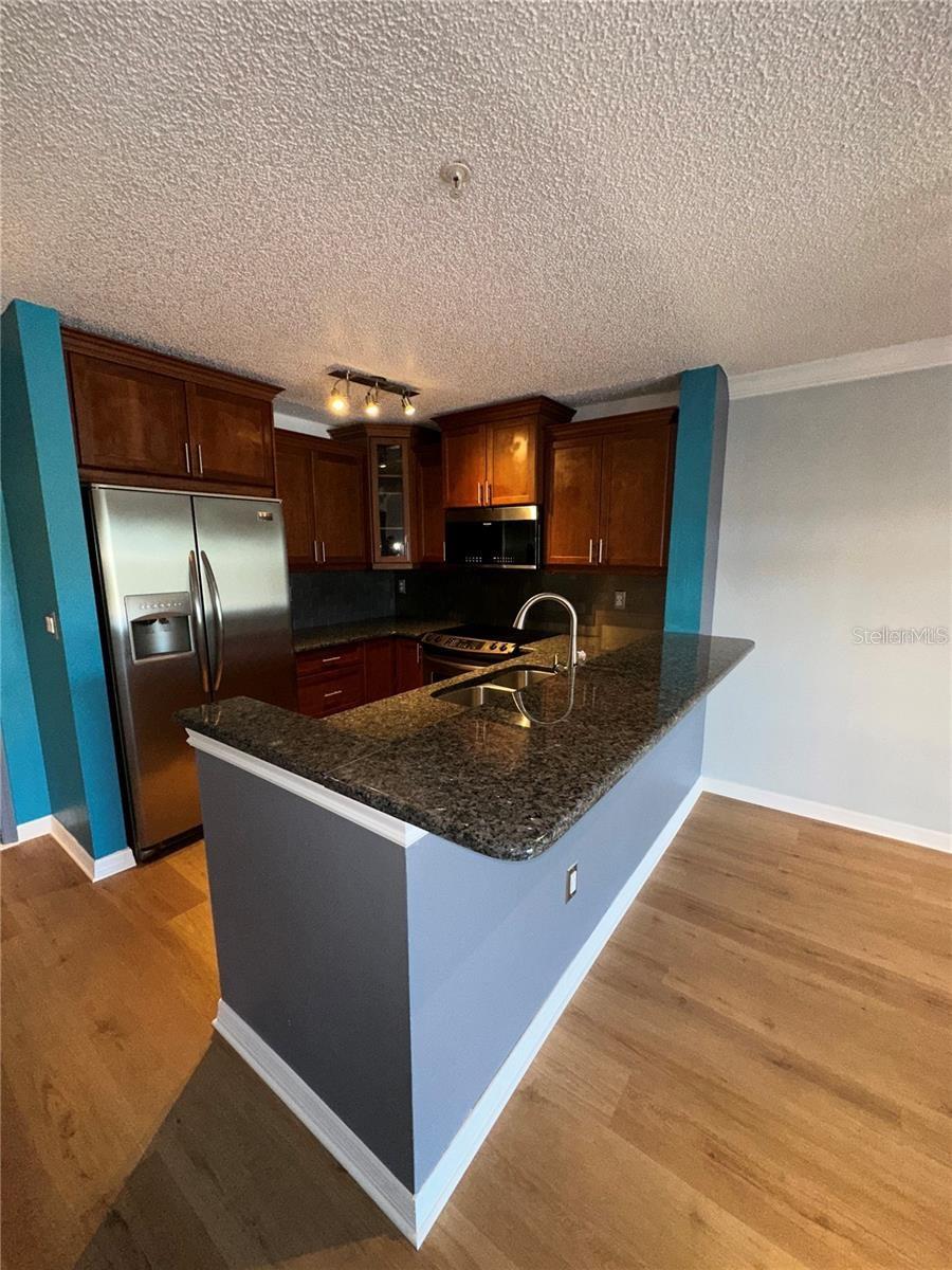 2400 FEATHER SOUND DR #1435 — photo 2