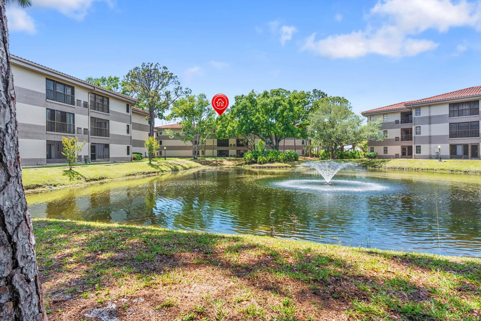 2650 COUNTRYSIDE BLVD #B307 — photo 38