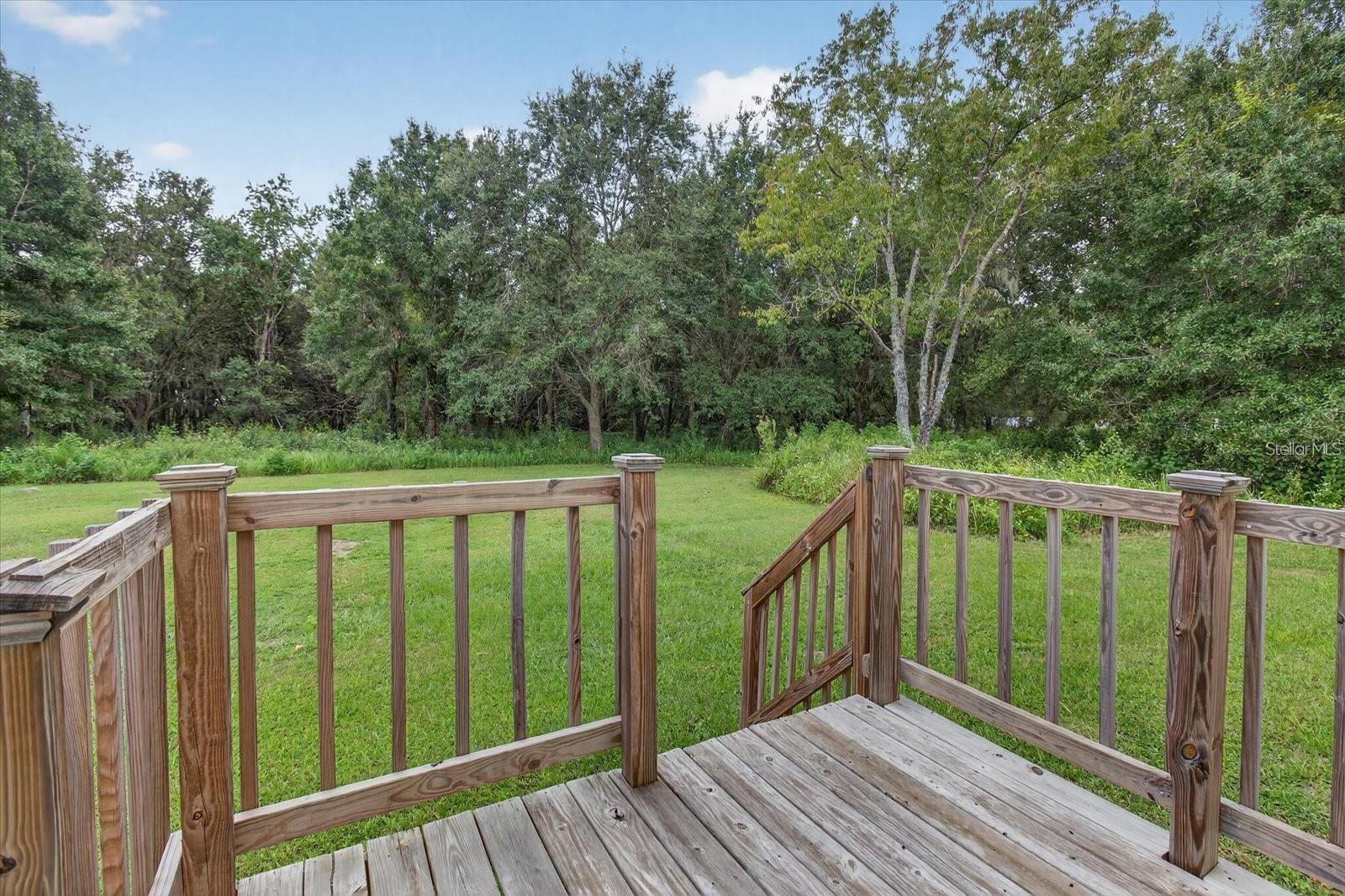 31326 TYNDALL RD — photo 32