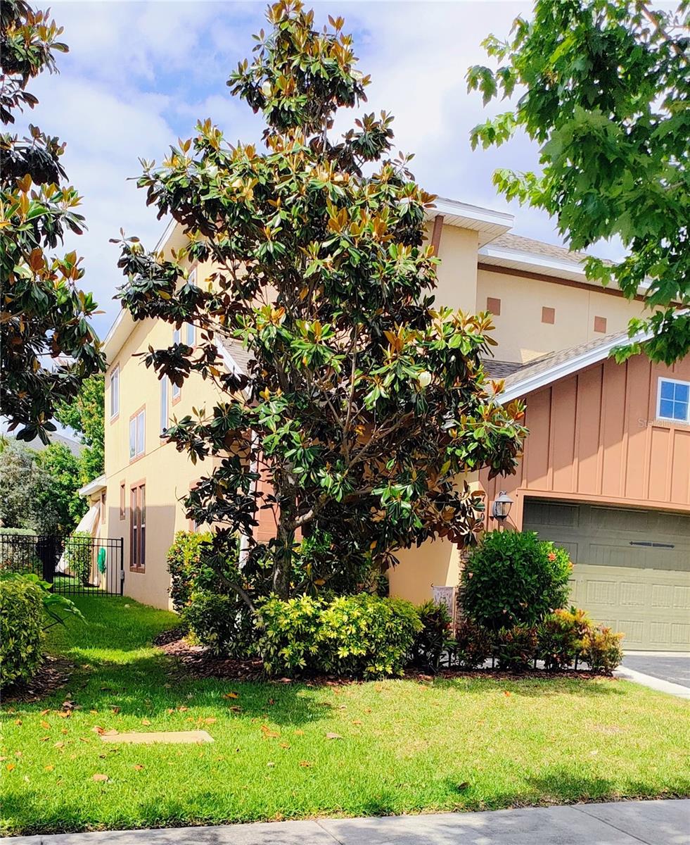 7508 SEA LILLY CT — photo 3