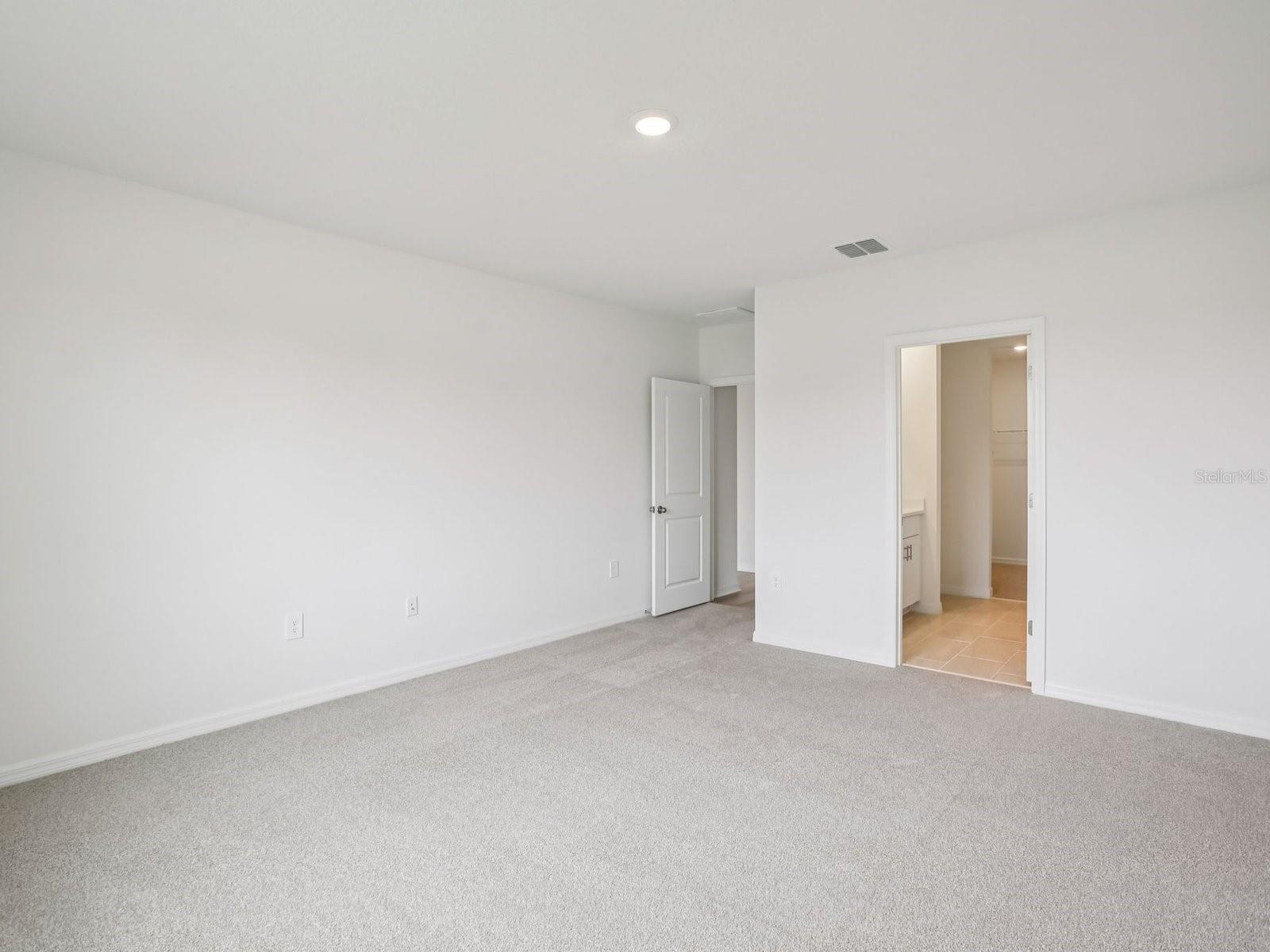 10436 ABUNDANCE GROVE WAY — photo 18