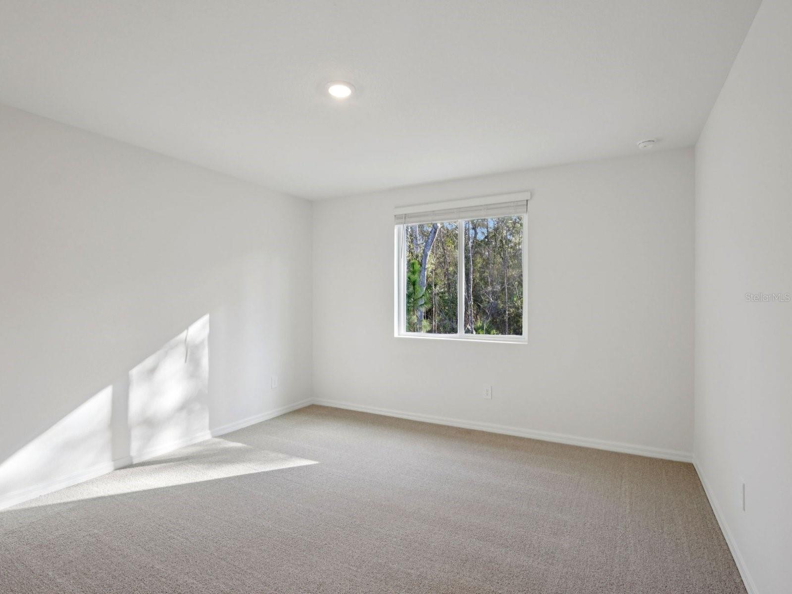 13518 SHELLMORE AVE — photo 8