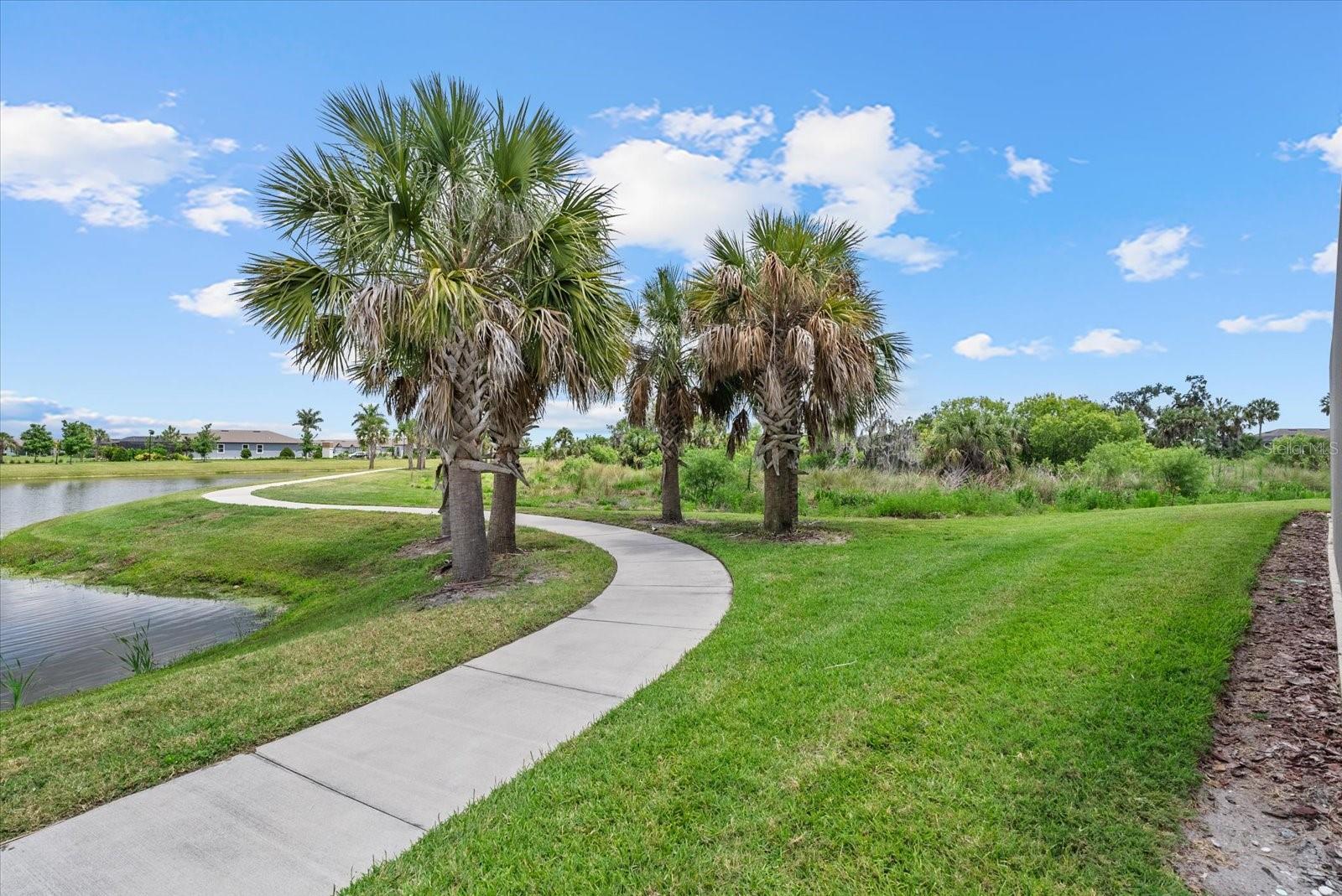 8510 COASTAL PALMS GLN — photo 44