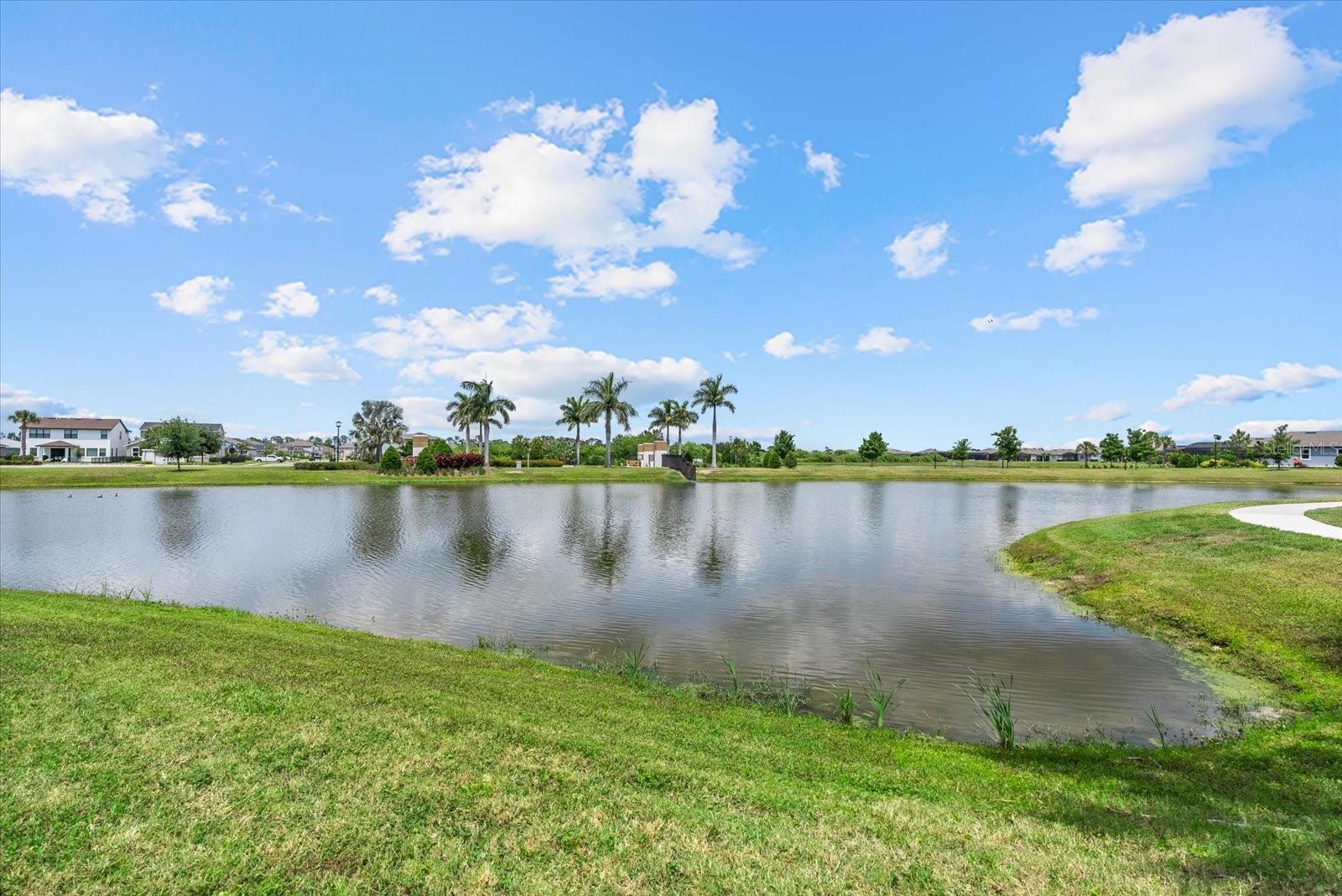 8510 COASTAL PALMS GLN — photo 46