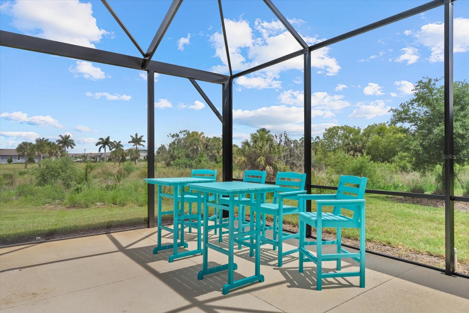 8510 COASTAL PALMS GLN — photo 41