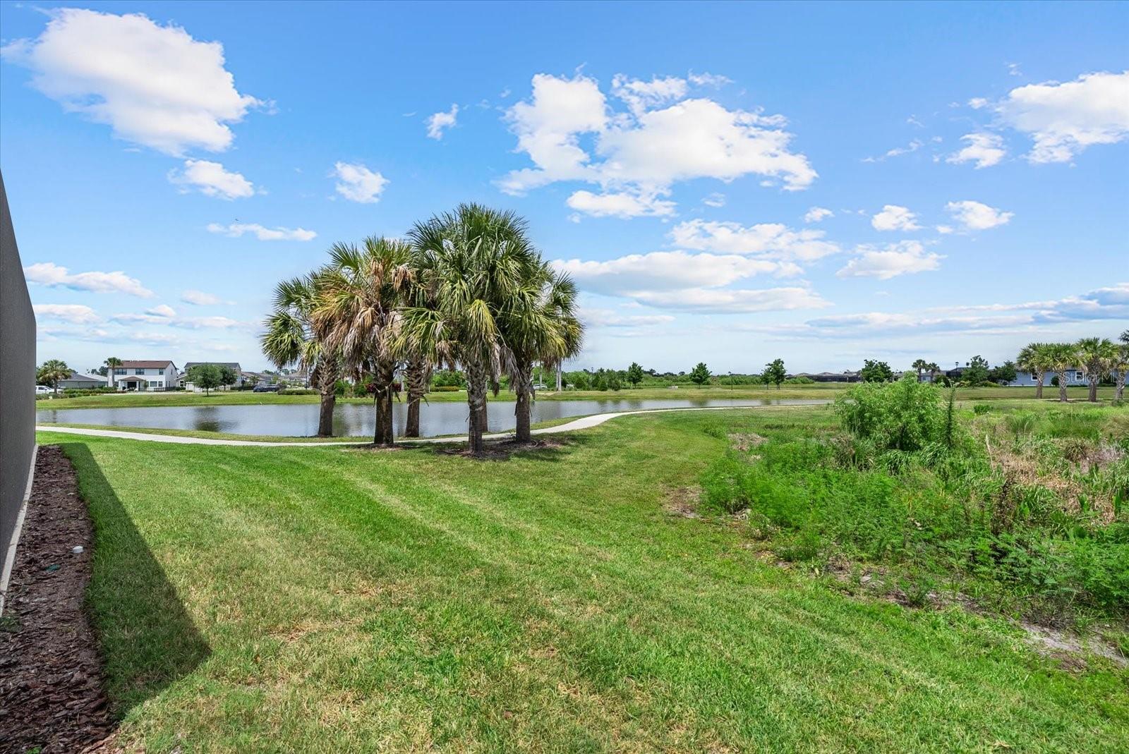 8510 COASTAL PALMS GLN — photo 48