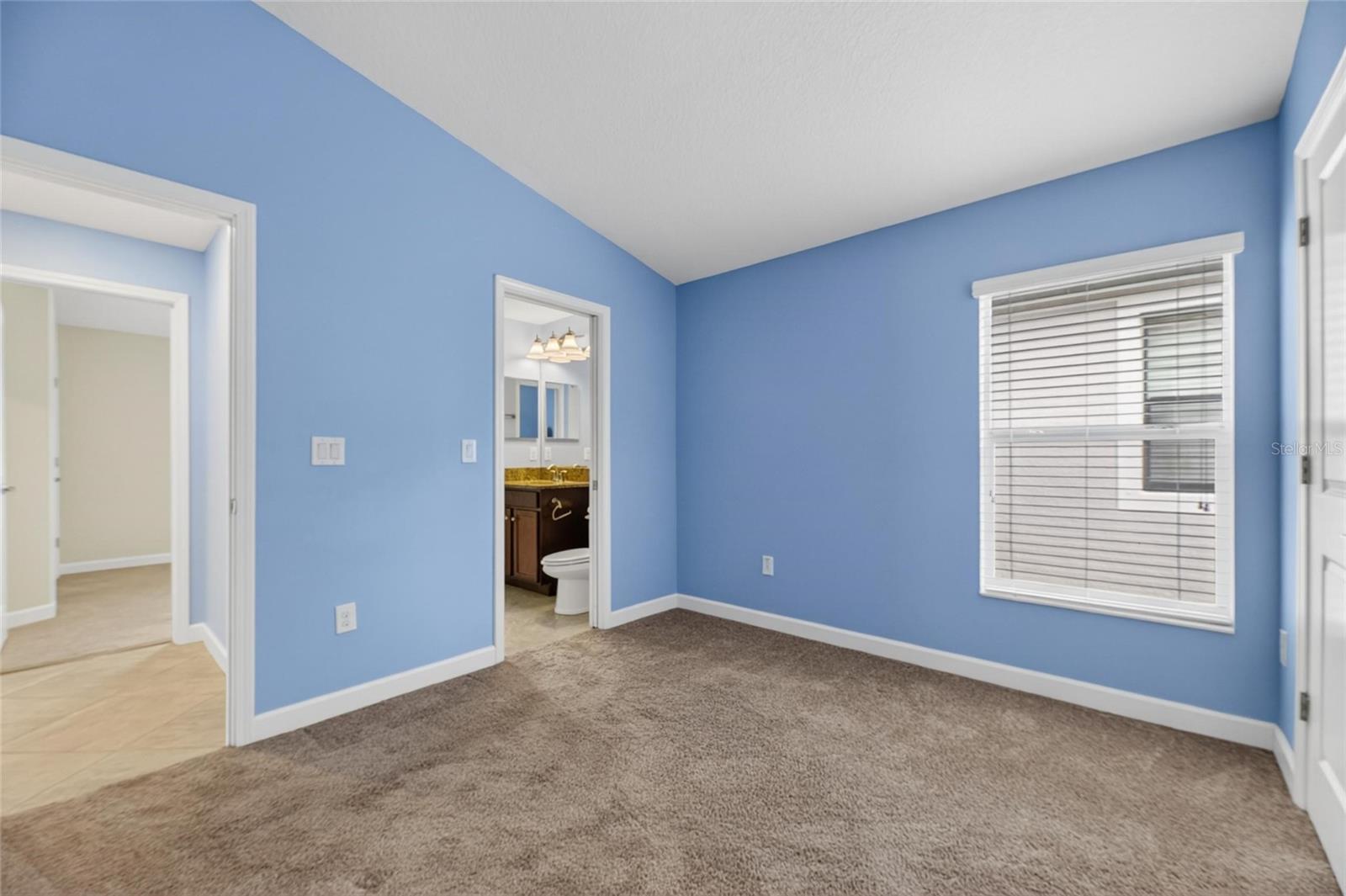 13168 GREEN VIOLET DR — photo 39