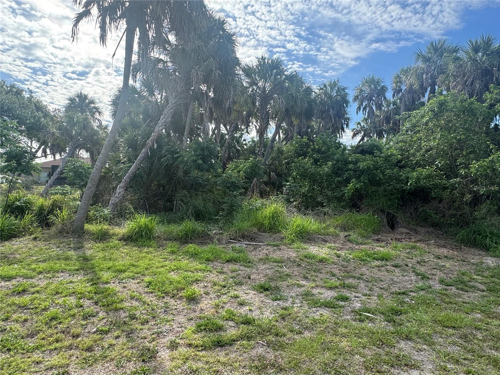 Lot 1 MULGRAVE AVE — photo 4