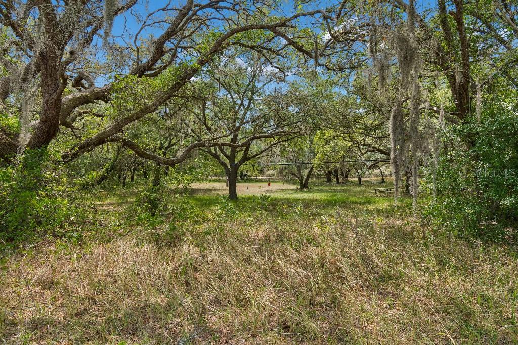 14320 FAMILY TRL — photo 55
