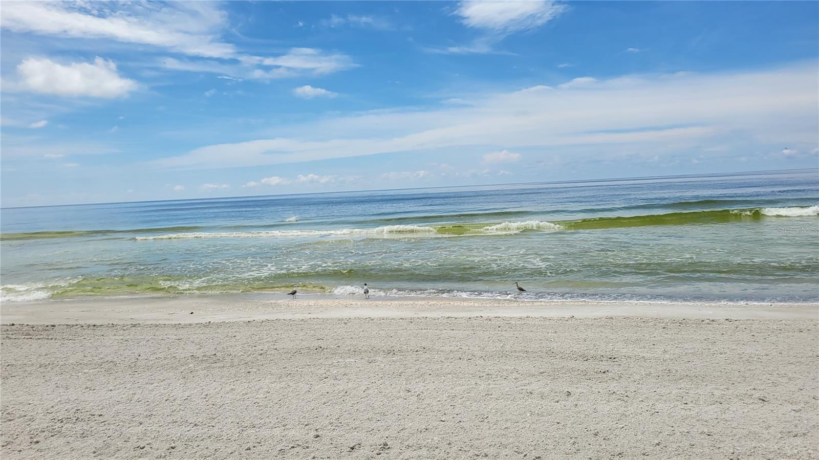 1000 LONGBOAT CLUB RD #406 — photo 27