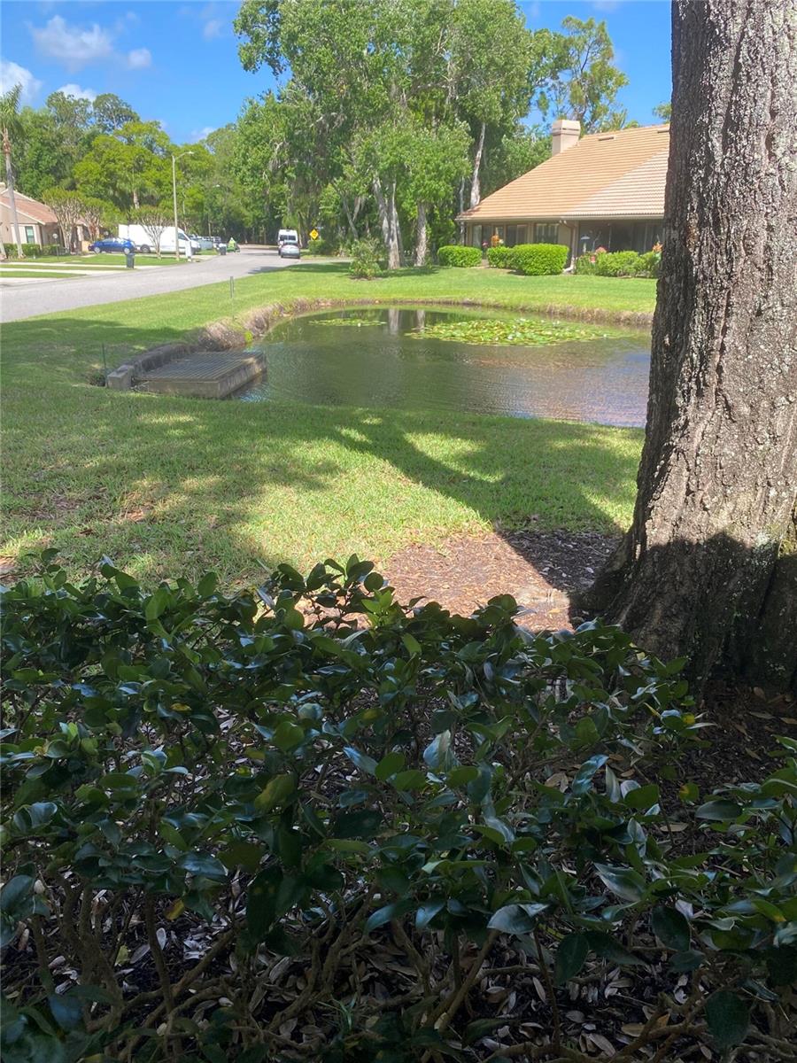 3134 WINDMOOR DR N — photo 34