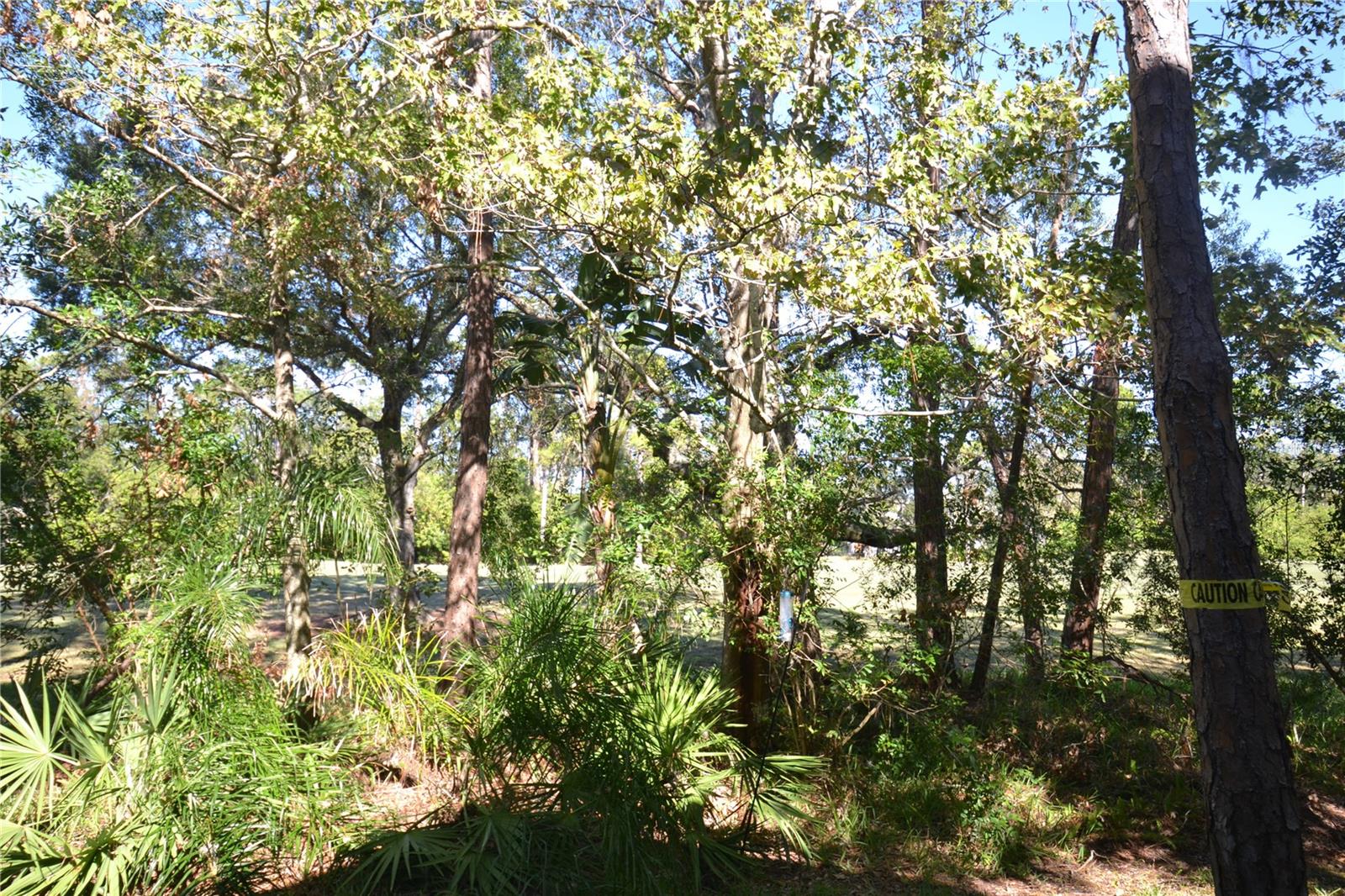 112 LINDSAY LN — photo 63