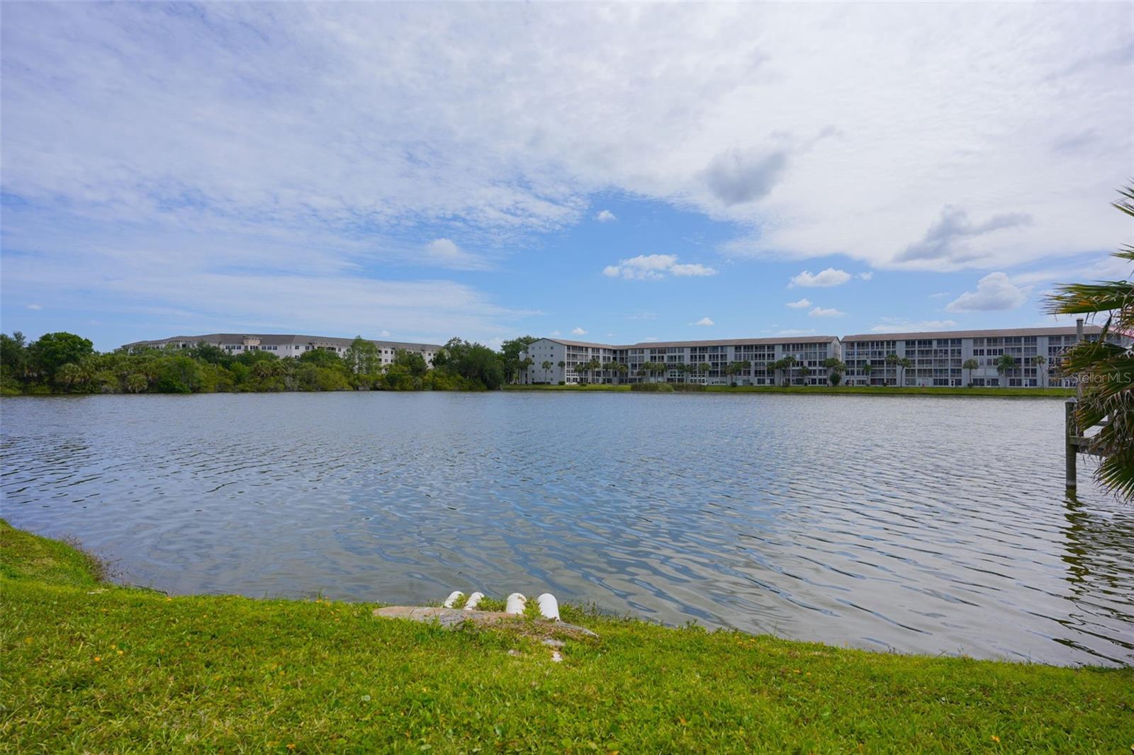 3607 LAKE BAYSHORE DR #J-312 — photo 40