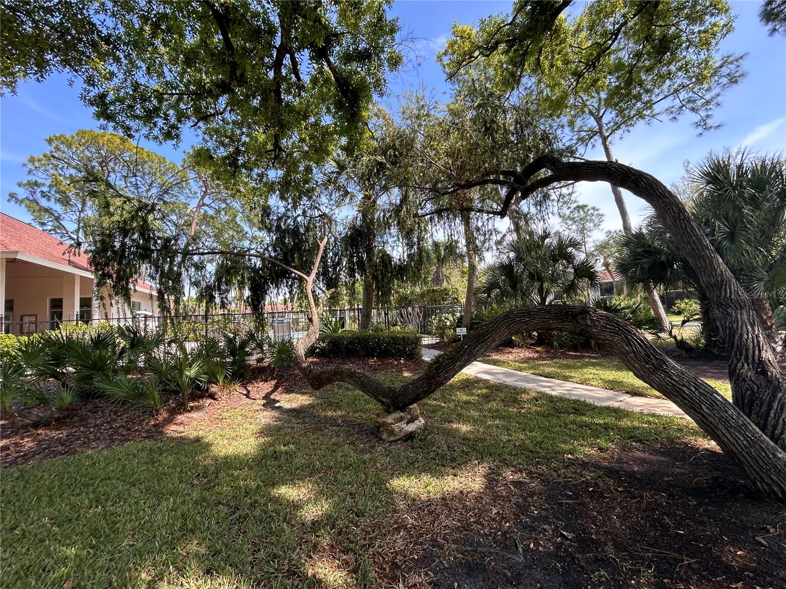 972 LA COSTA CIR #3 — photo 31