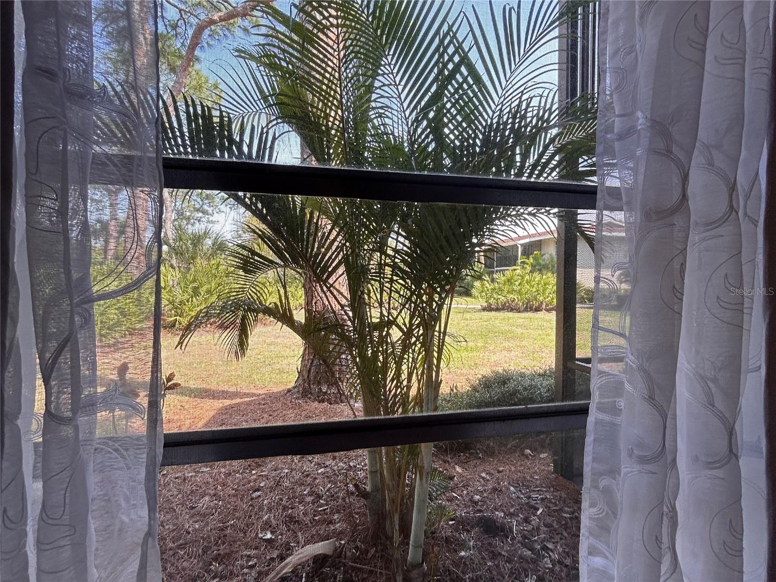972 LA COSTA CIR #3 — photo 22