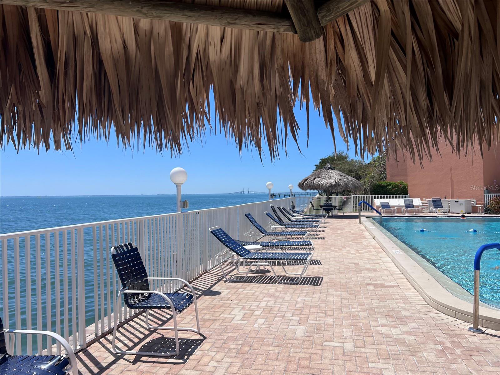 7430 SUNSHINE SKYWAY LN S #501 — photo 34