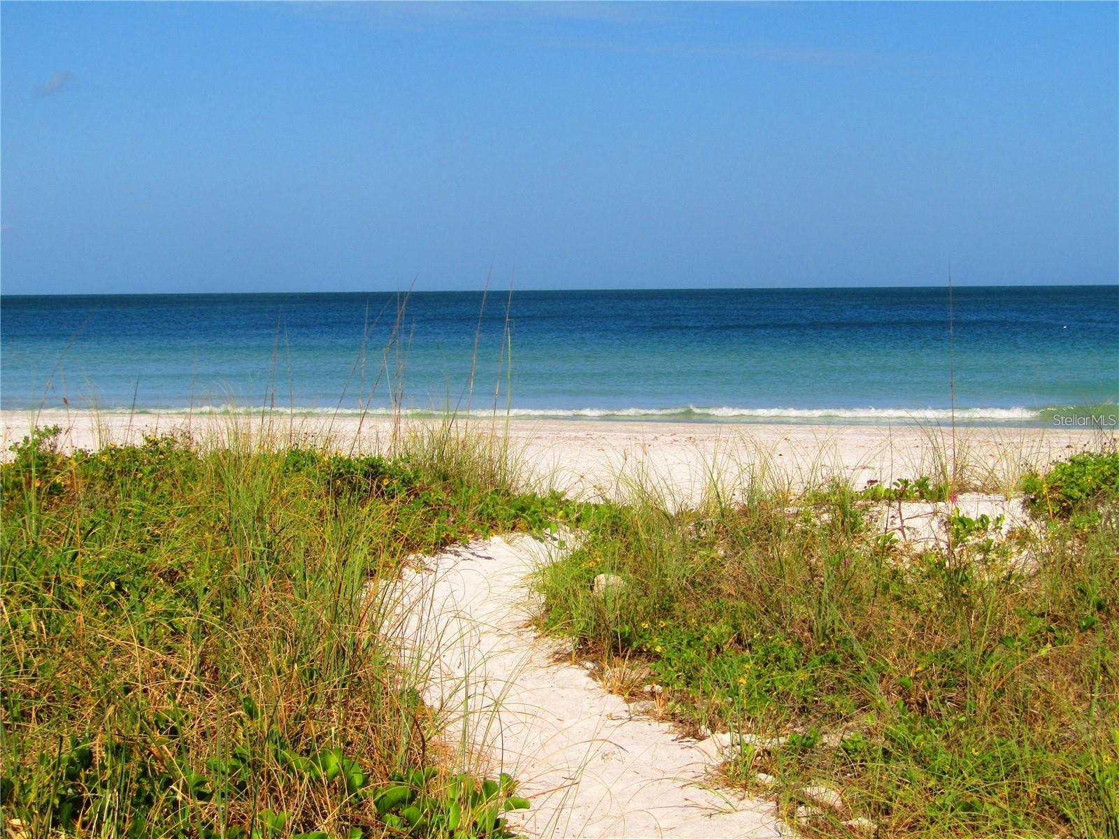1460 GULF BLVD #308 — photo 36